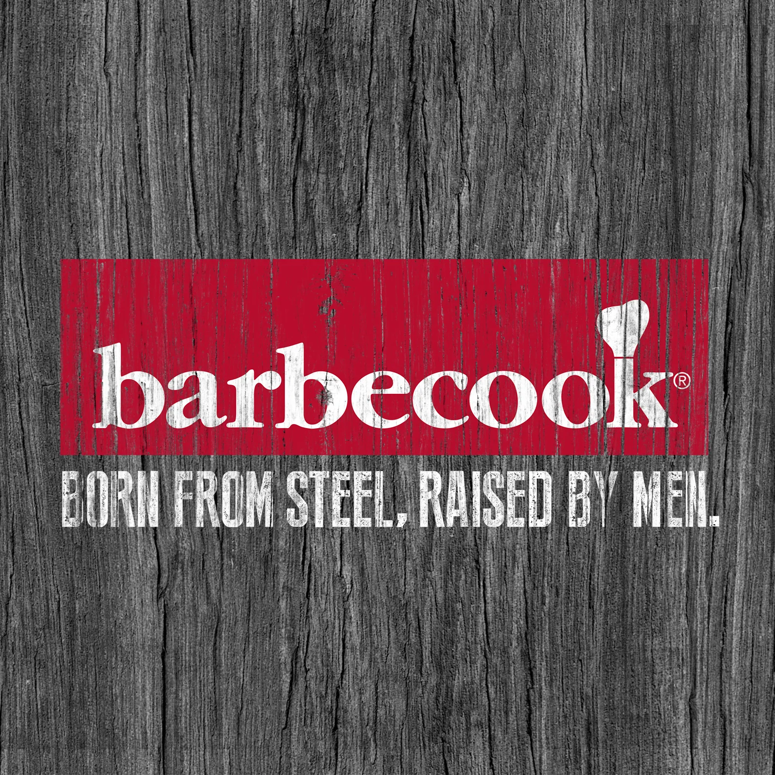 Work_thumbnail_Barbecook.jpg