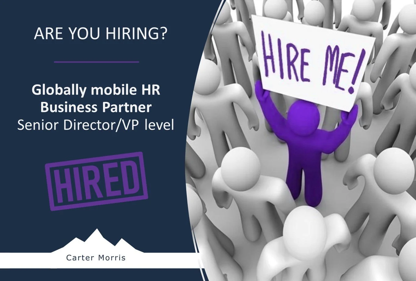 Globally mobile HR Business Partner at Senior Director/VP level, advanced change management skills