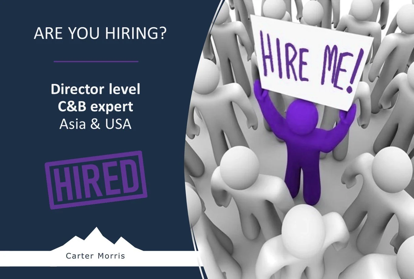 Director level C&amp;B expert, Asia &amp; USA, globally mobile