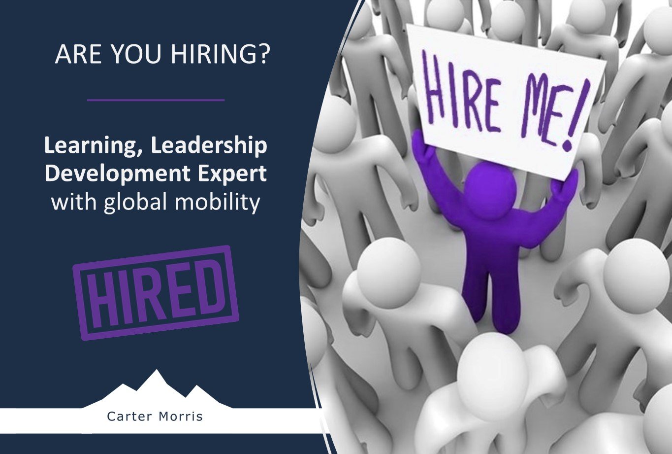 Learning, Leadership Development Expert with global mobility