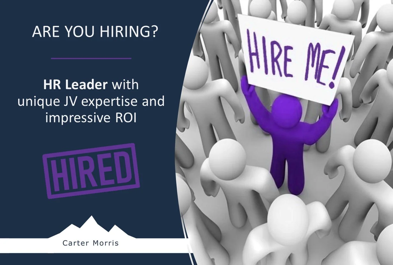 HR Leader with unique JV expertise and impressive ROI achievements