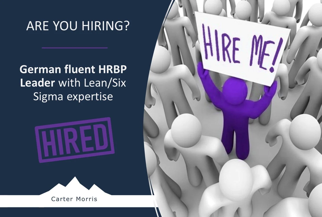 German fluent HRBP Leader with Lean/Six Sigma expertise 