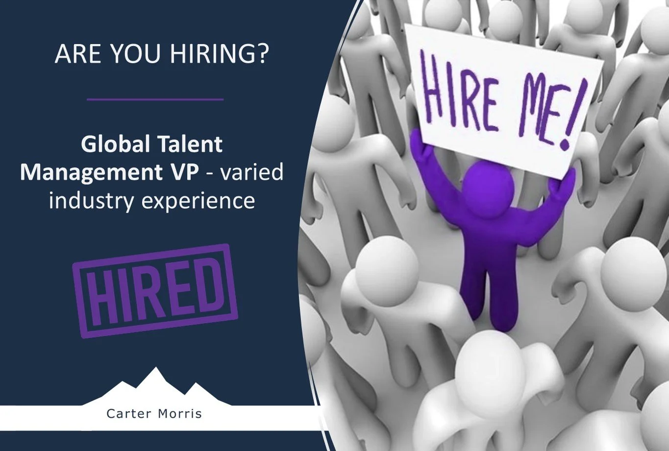 Global Talent Management VP - varied industry experience