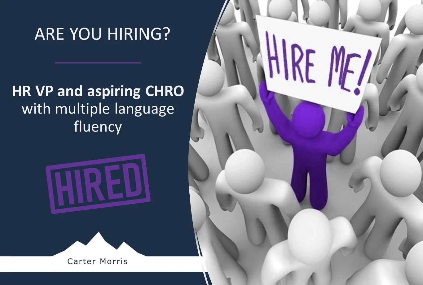 HR VP and aspiring CHRO with multiple language fluency