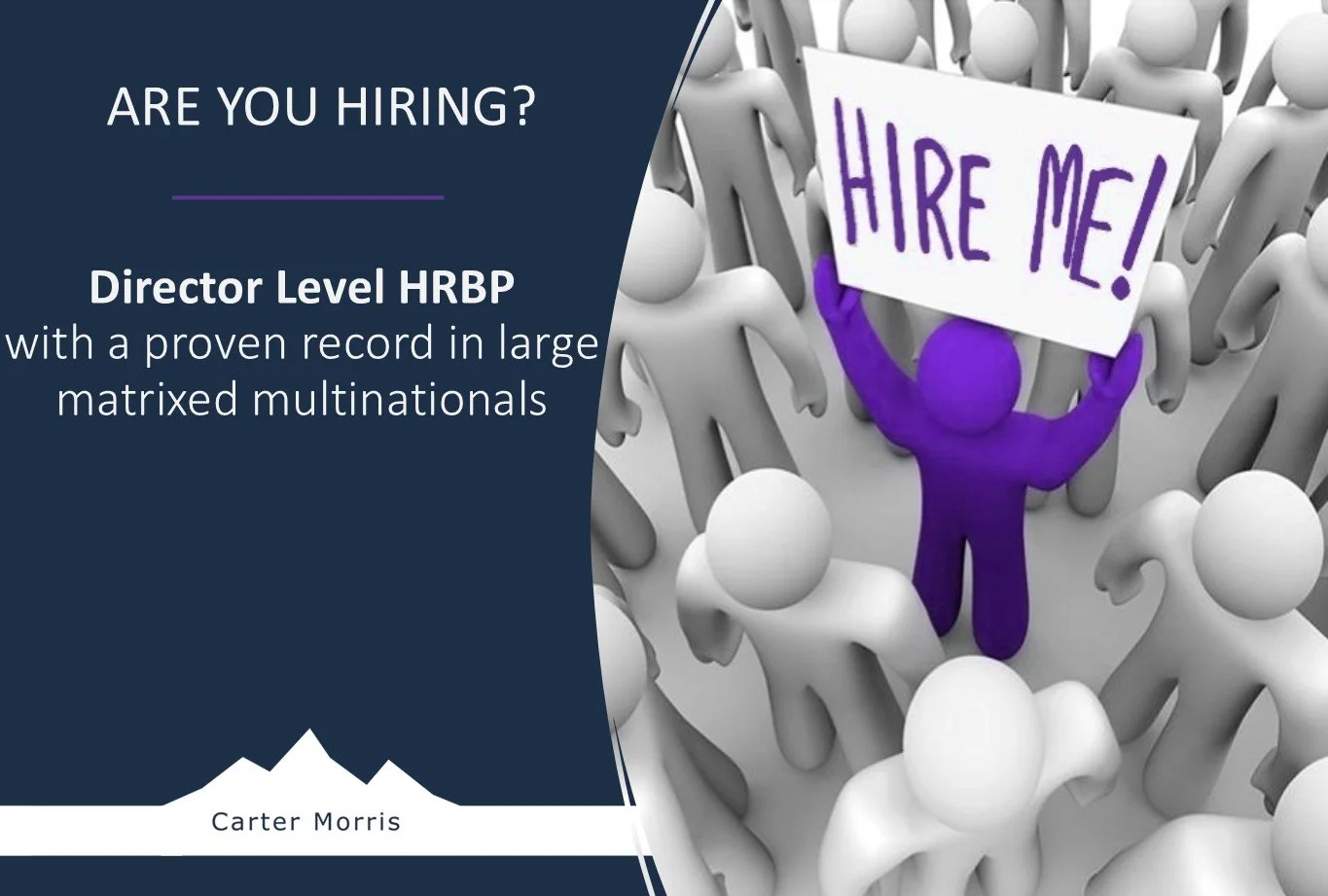 HRBP with a proven record in large, matrixed multinationals