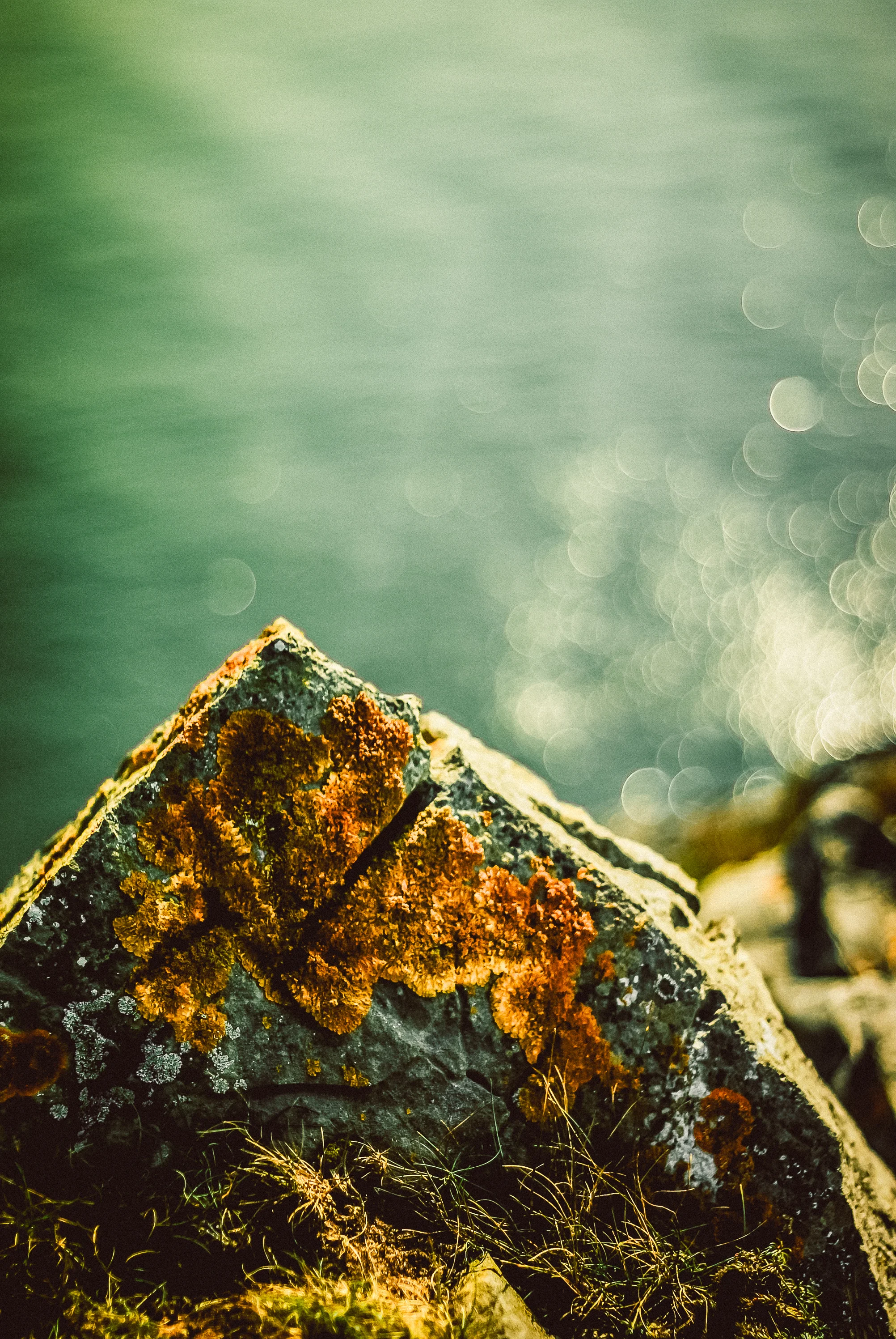 Rock, Tenby. Nikon D60 | 50mm | F1.8 - 1/4000th - iso100