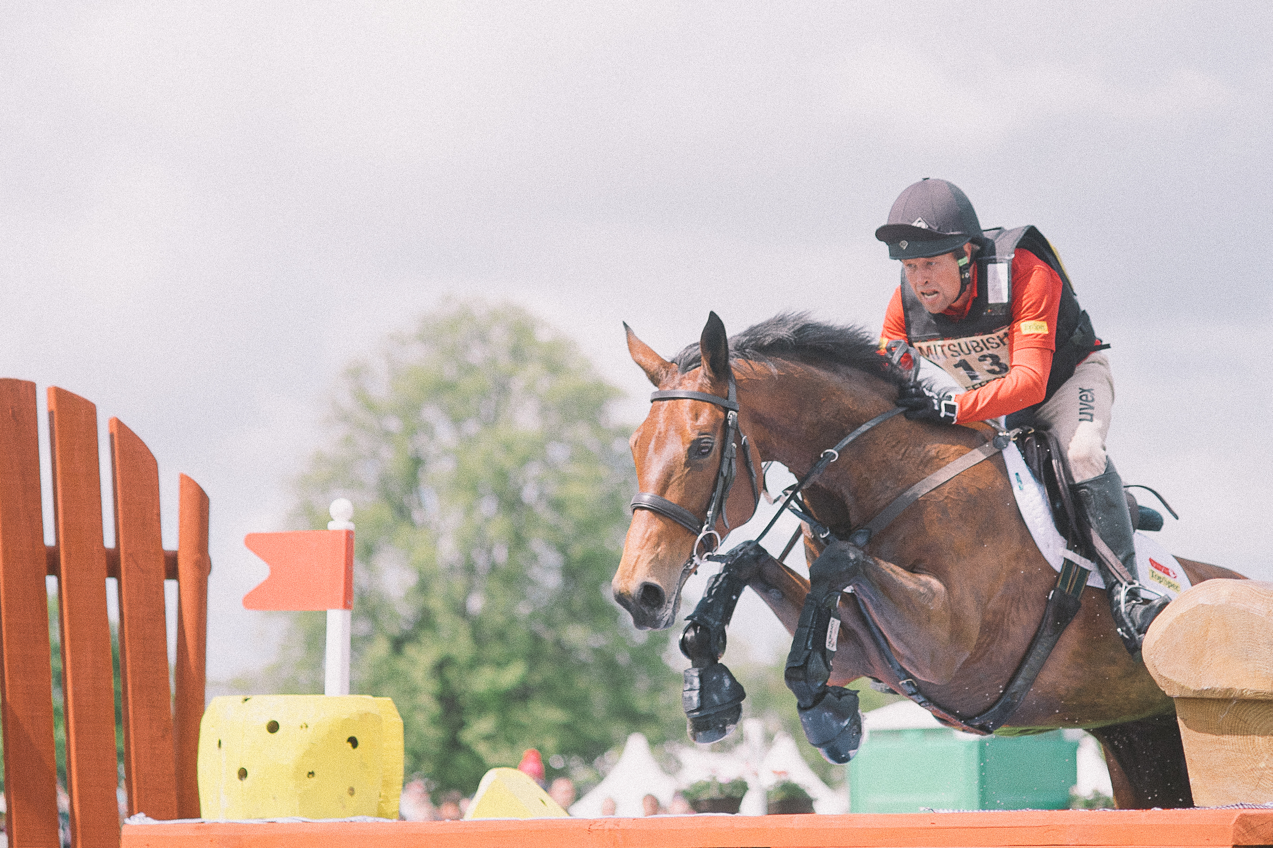 The OM 100mm, a cracking lens.