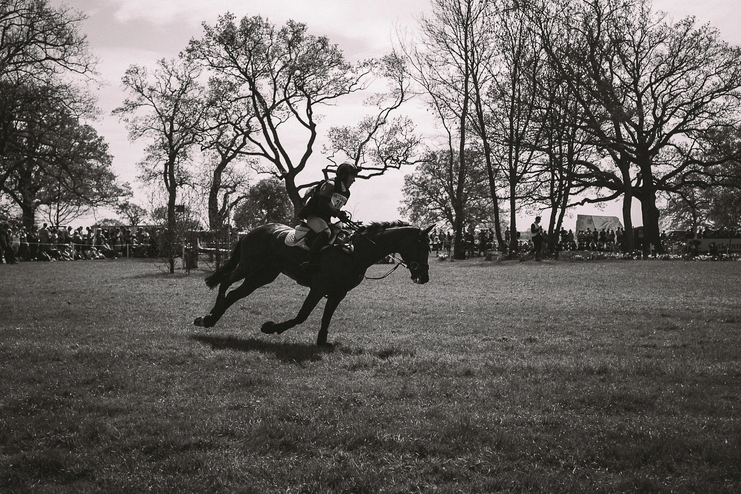 Fuji X-E2 and old Olympus lenses