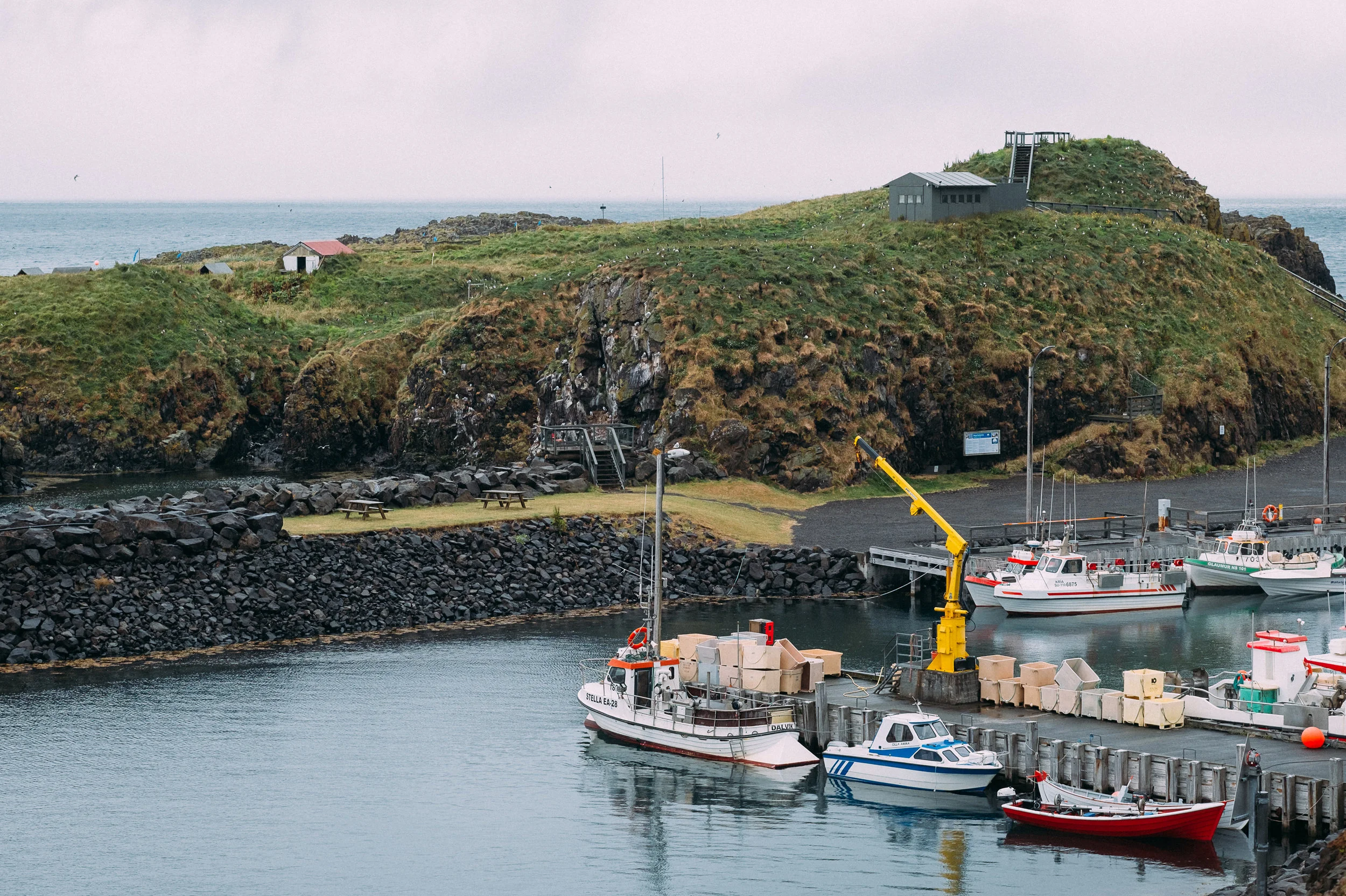 Puffin island, behind the marina.