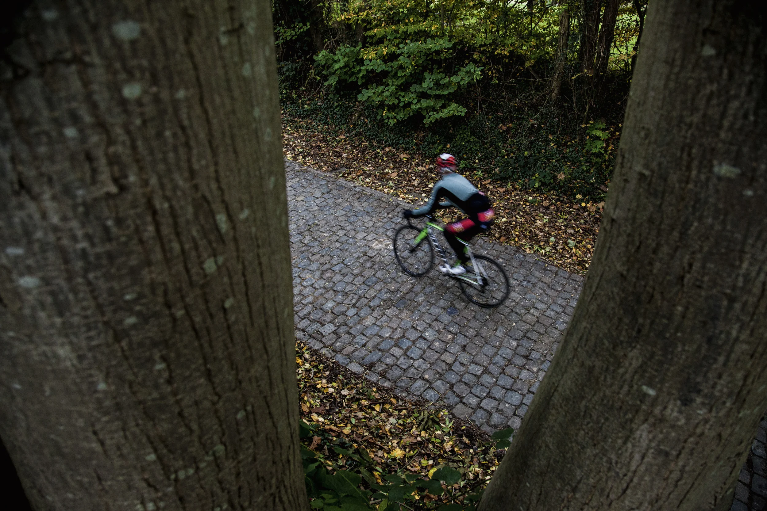 _MG_0445.jpg