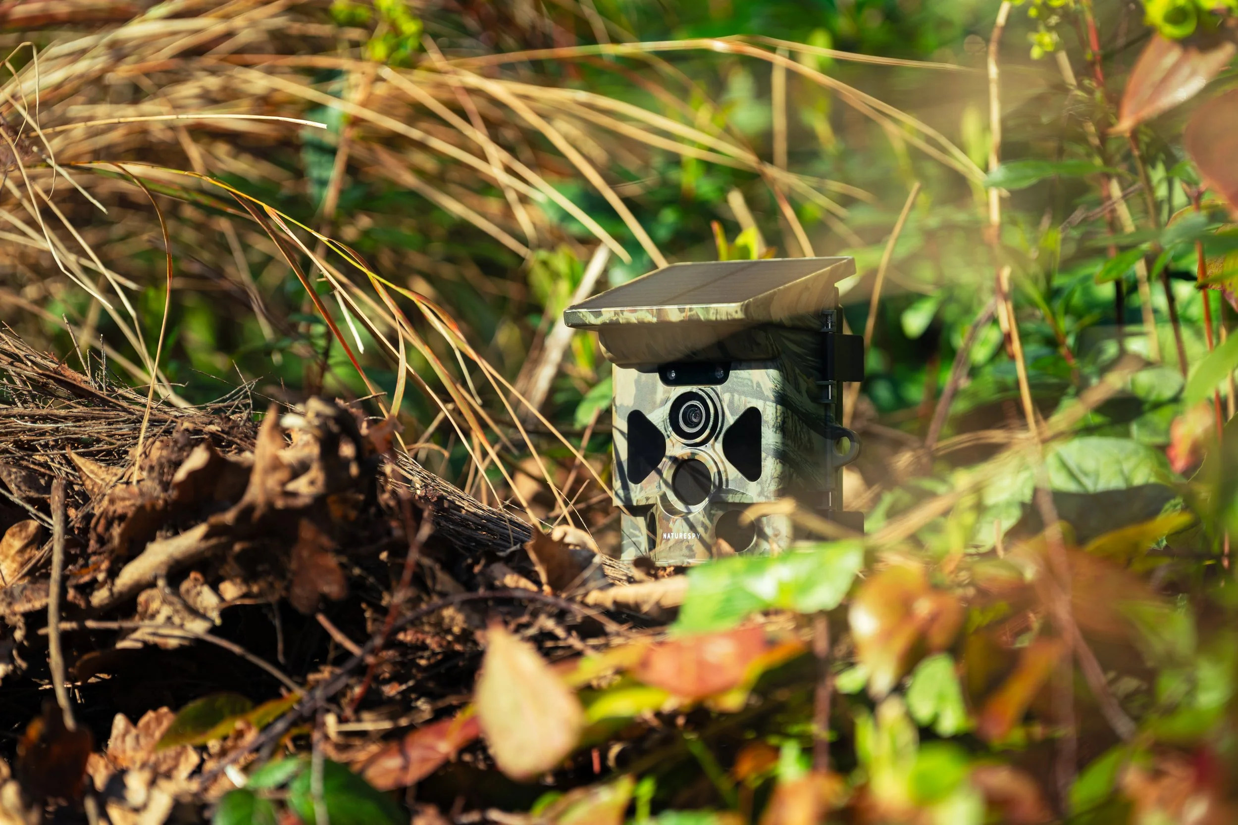 0756_FUTURE_EE_TECH_FOR_GOOD_Q2_T3_A7304393.jpg