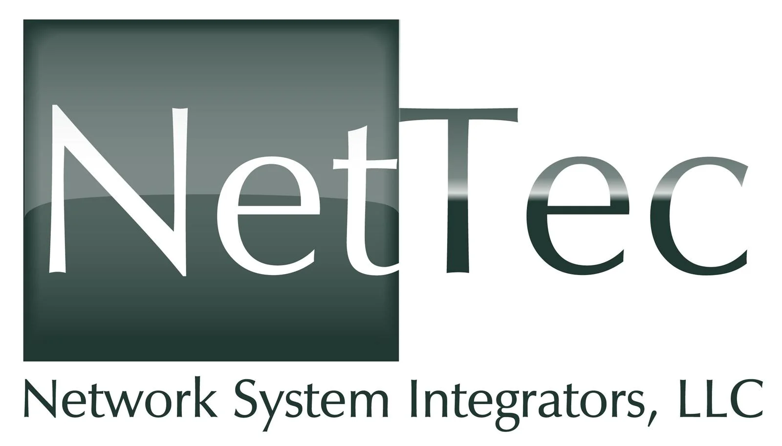 NetTec_logo4.jpg