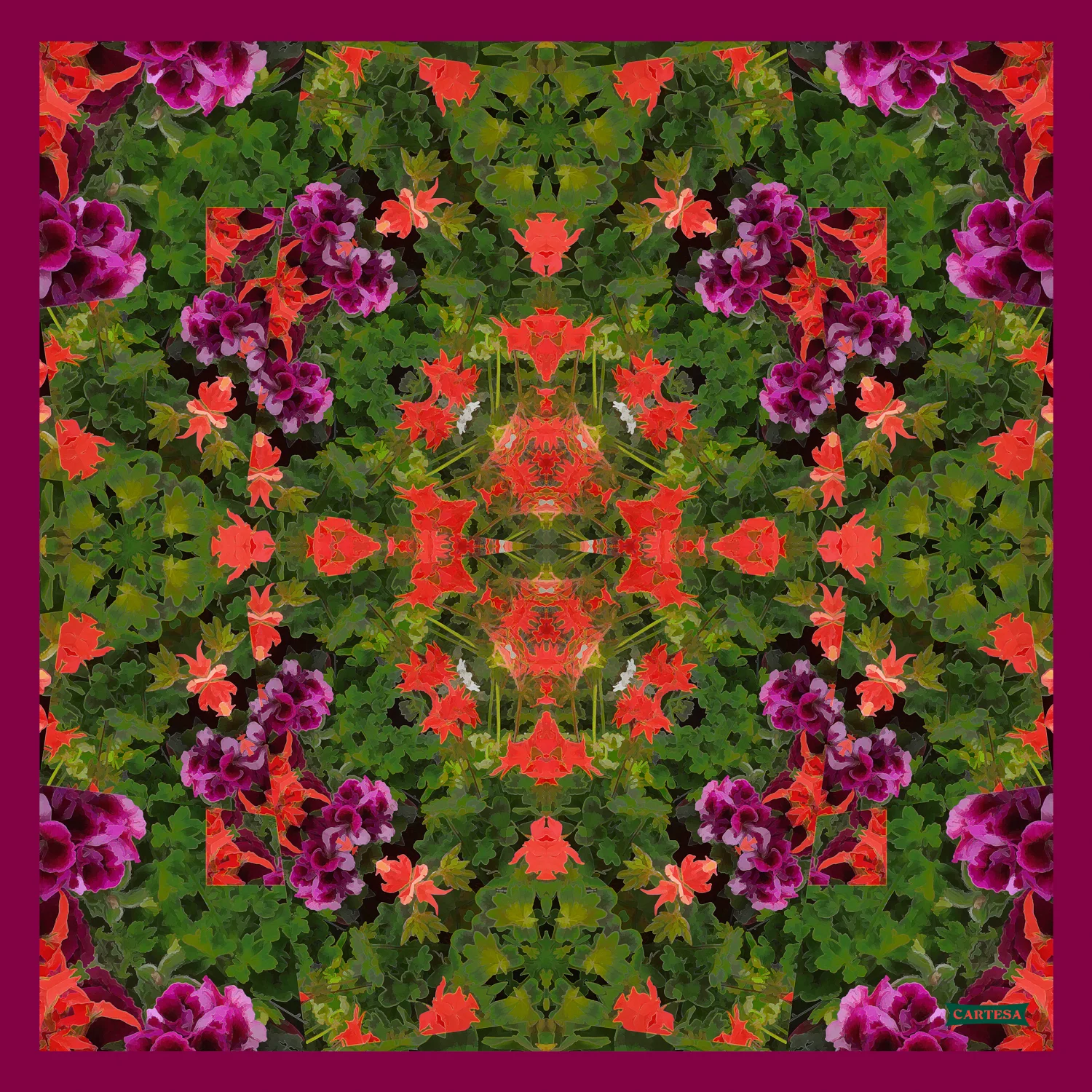 7.Geranium Pop-2.jpg