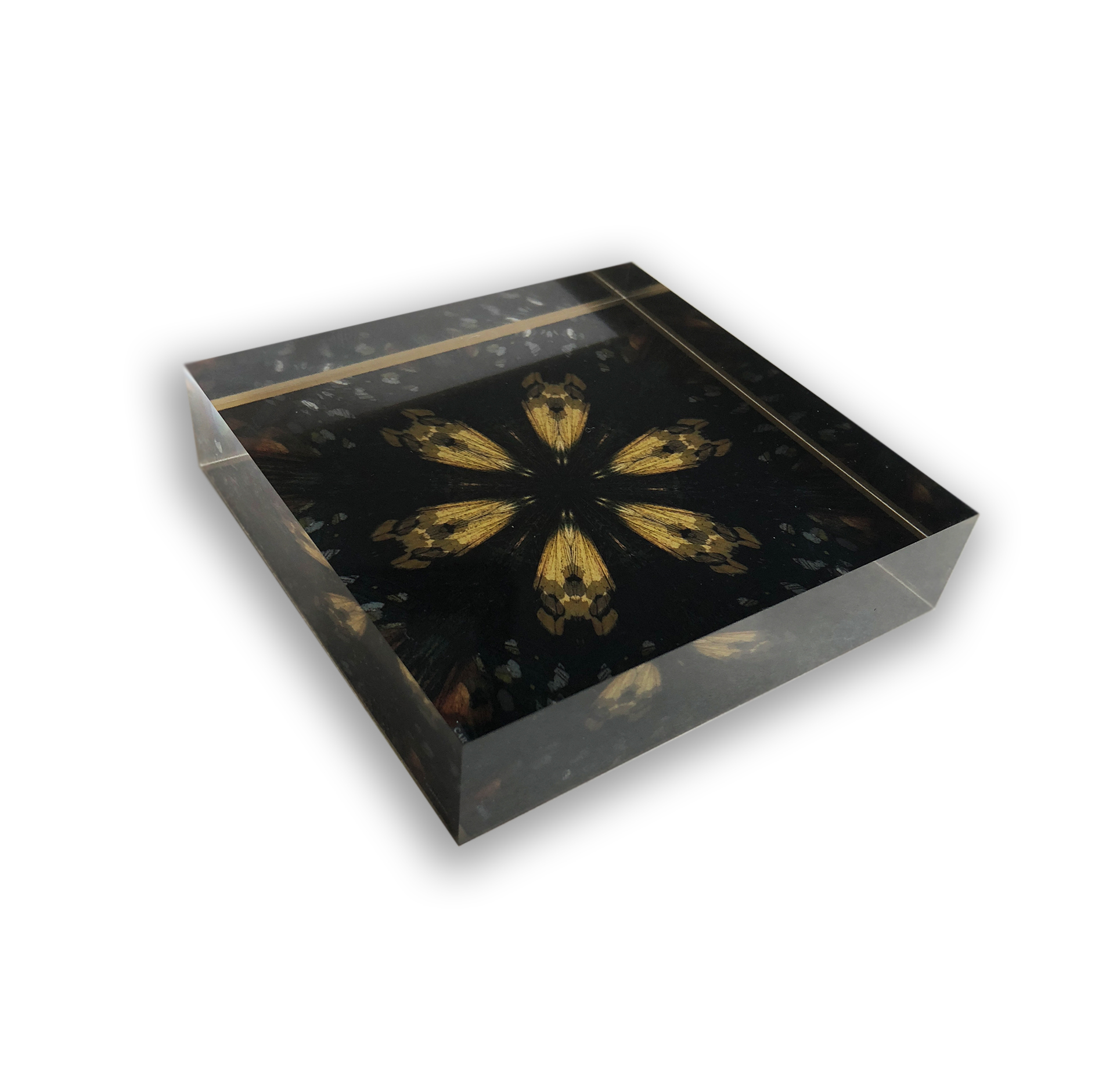 1a-BUTTERFLY-Prism-wb.jpg