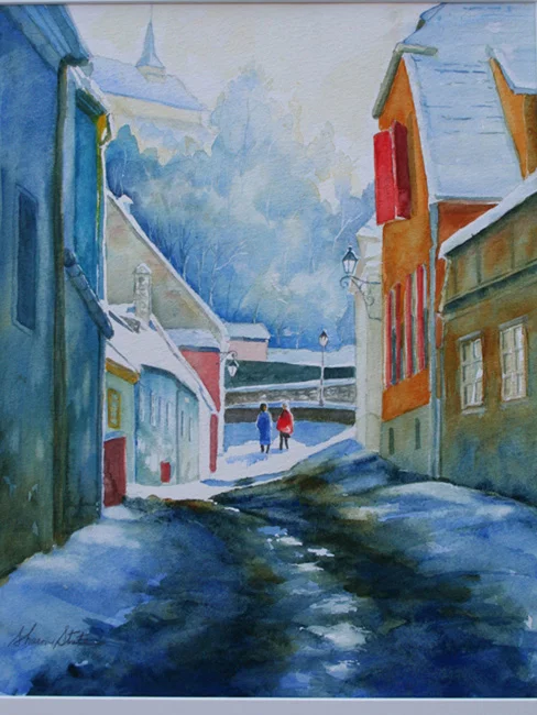 Strada Tamplarilor, Sighisoara