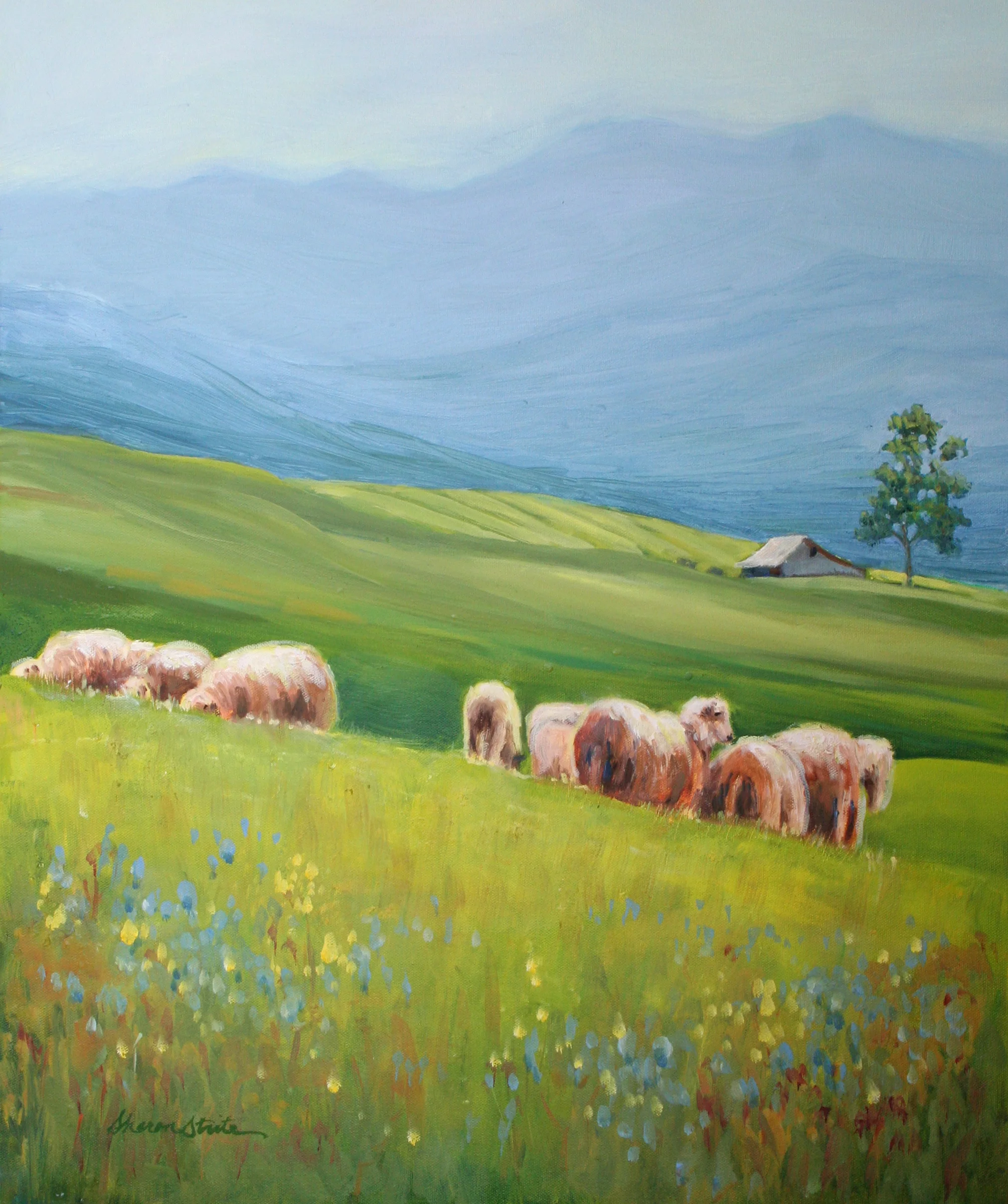 The Hills of Paltinis