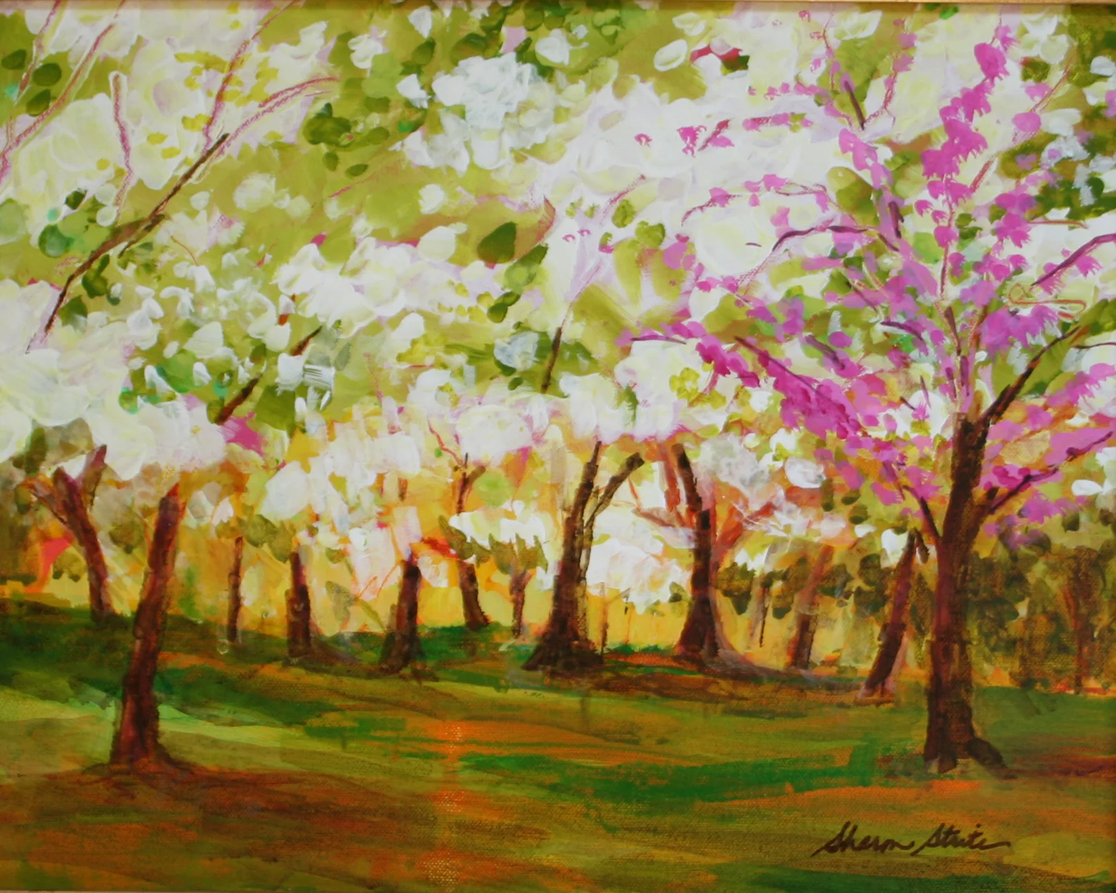 Orchard Light