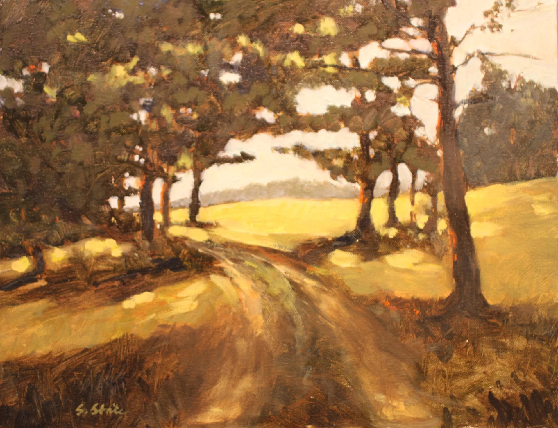 Shenandoah Mountain Road