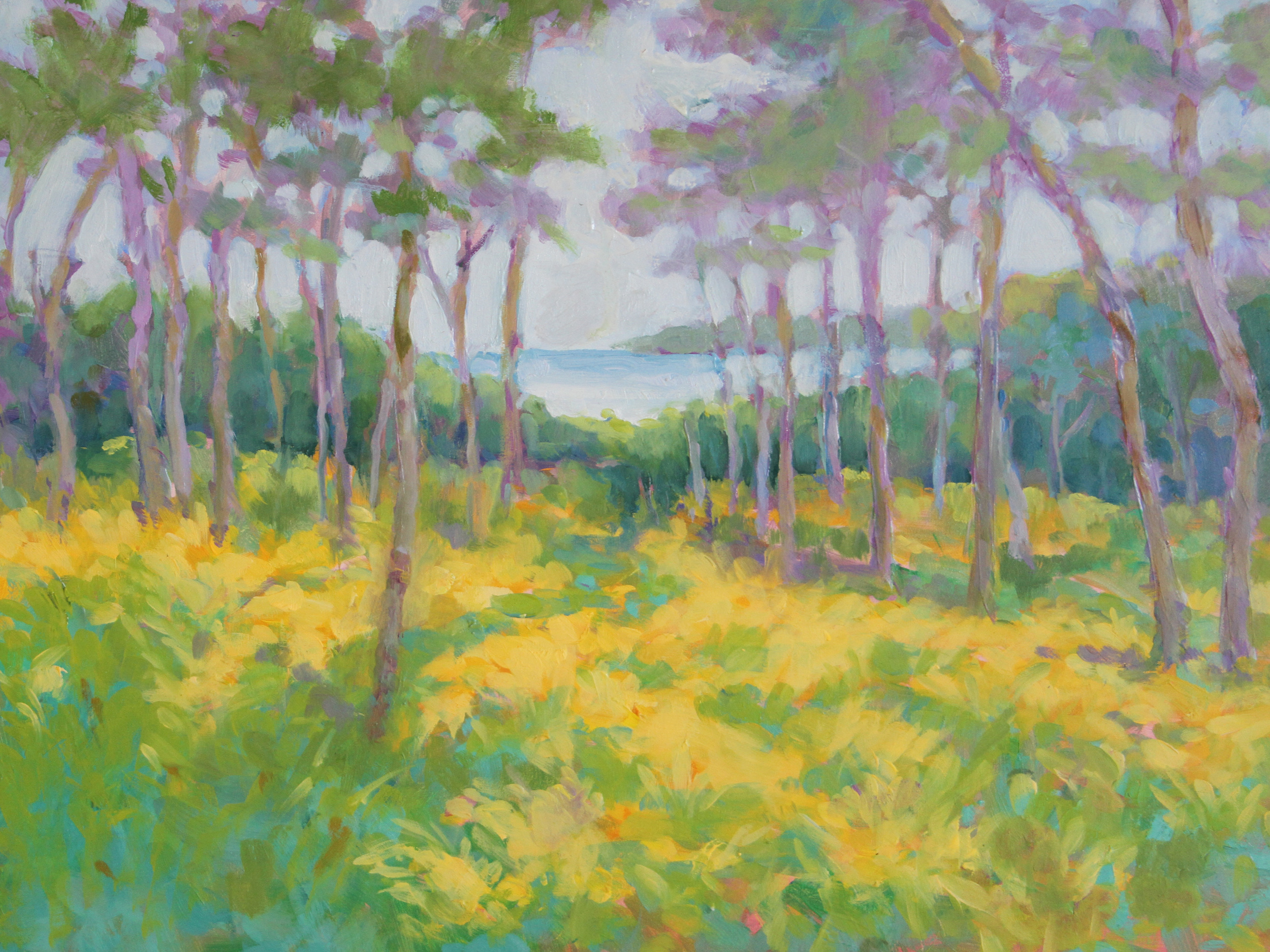 Goldenrod on Cliff Island
