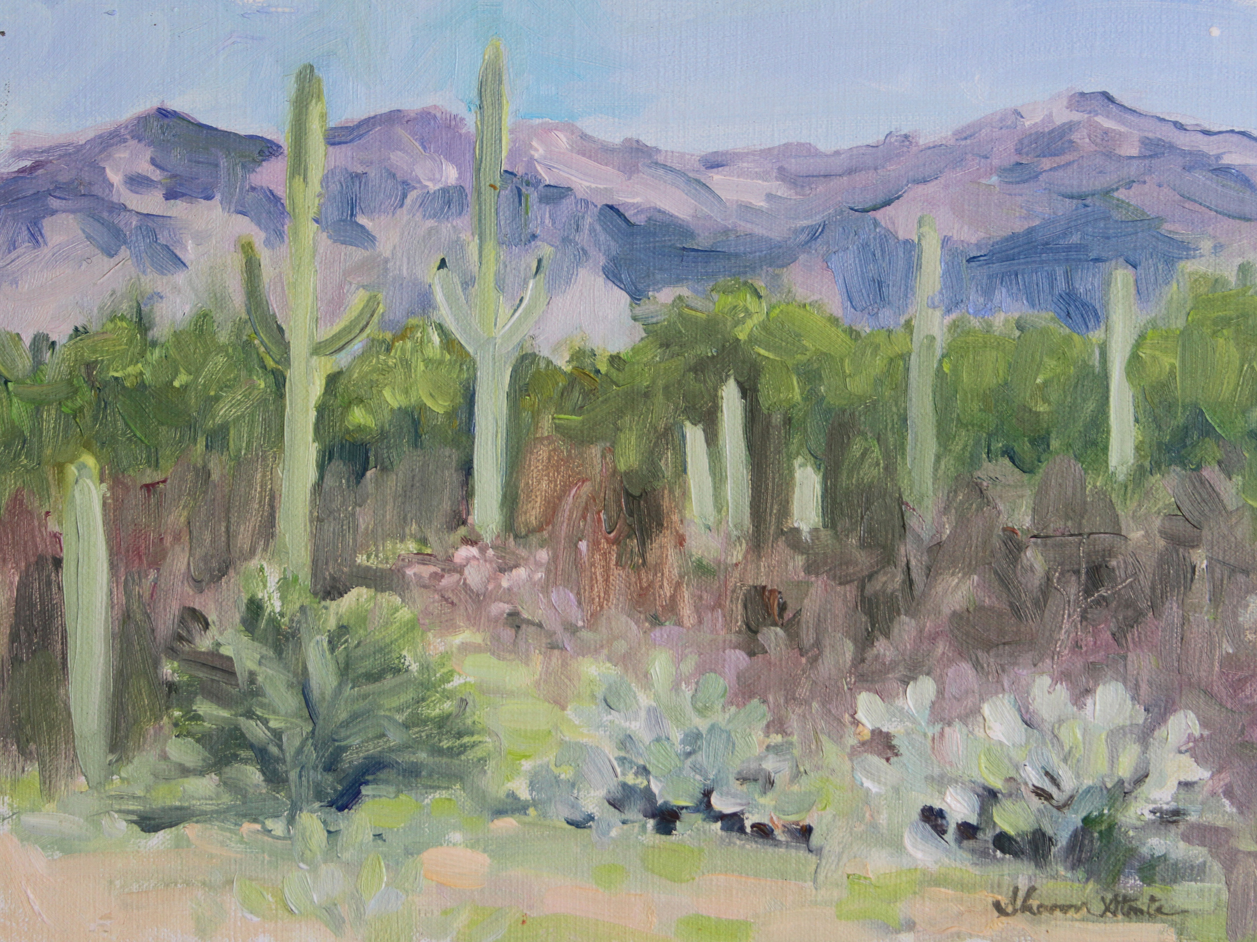 Near Tuscon