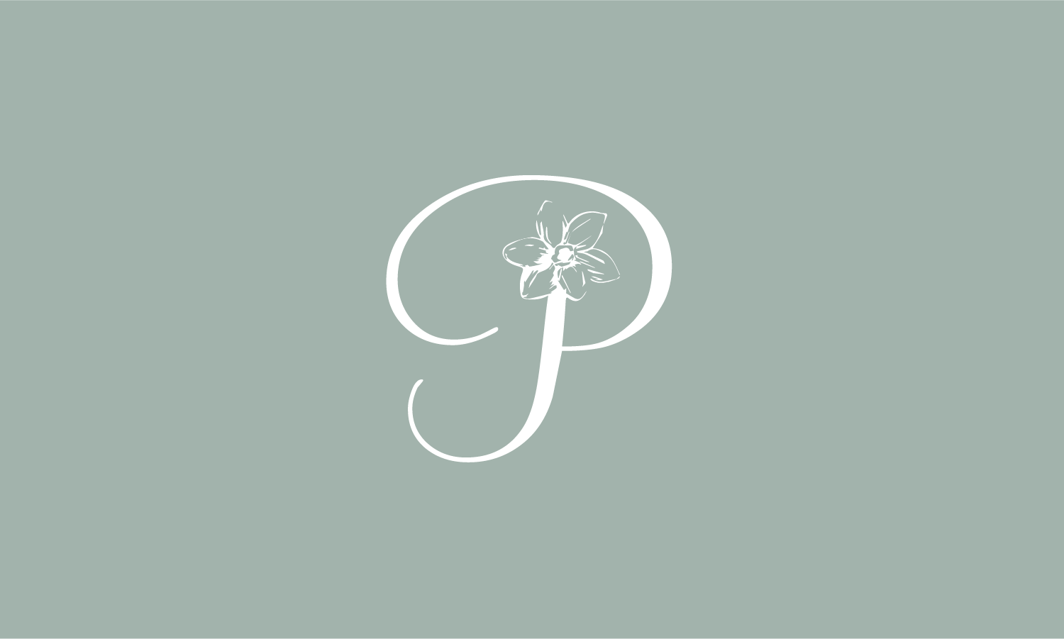 Paperwhite-09.png