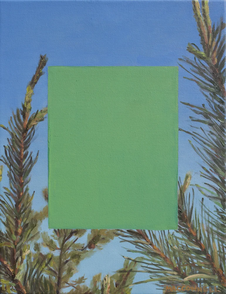 JohnMacConnell-FireIsland-LoRes.jpg