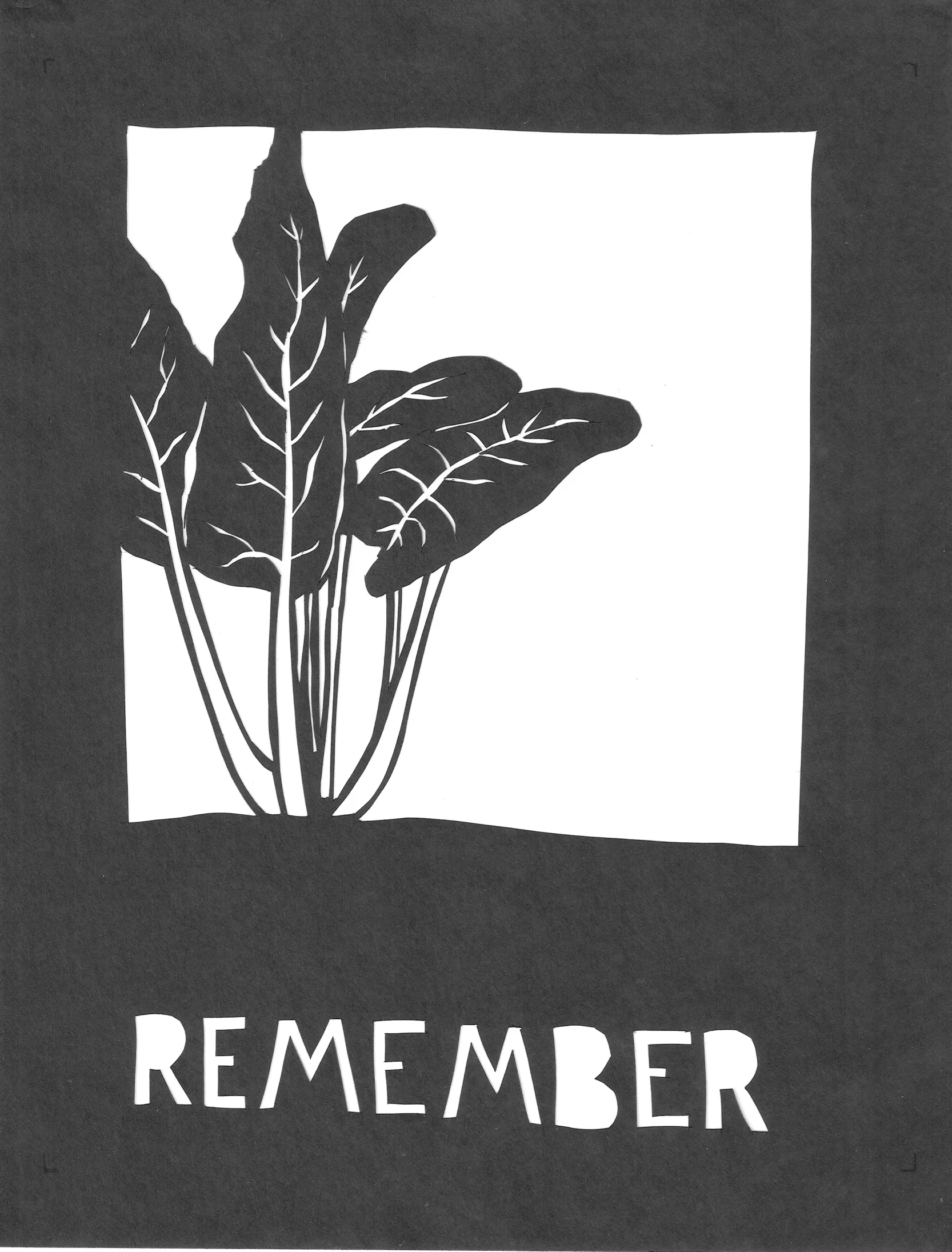 Remember the Chard 3.jpeg