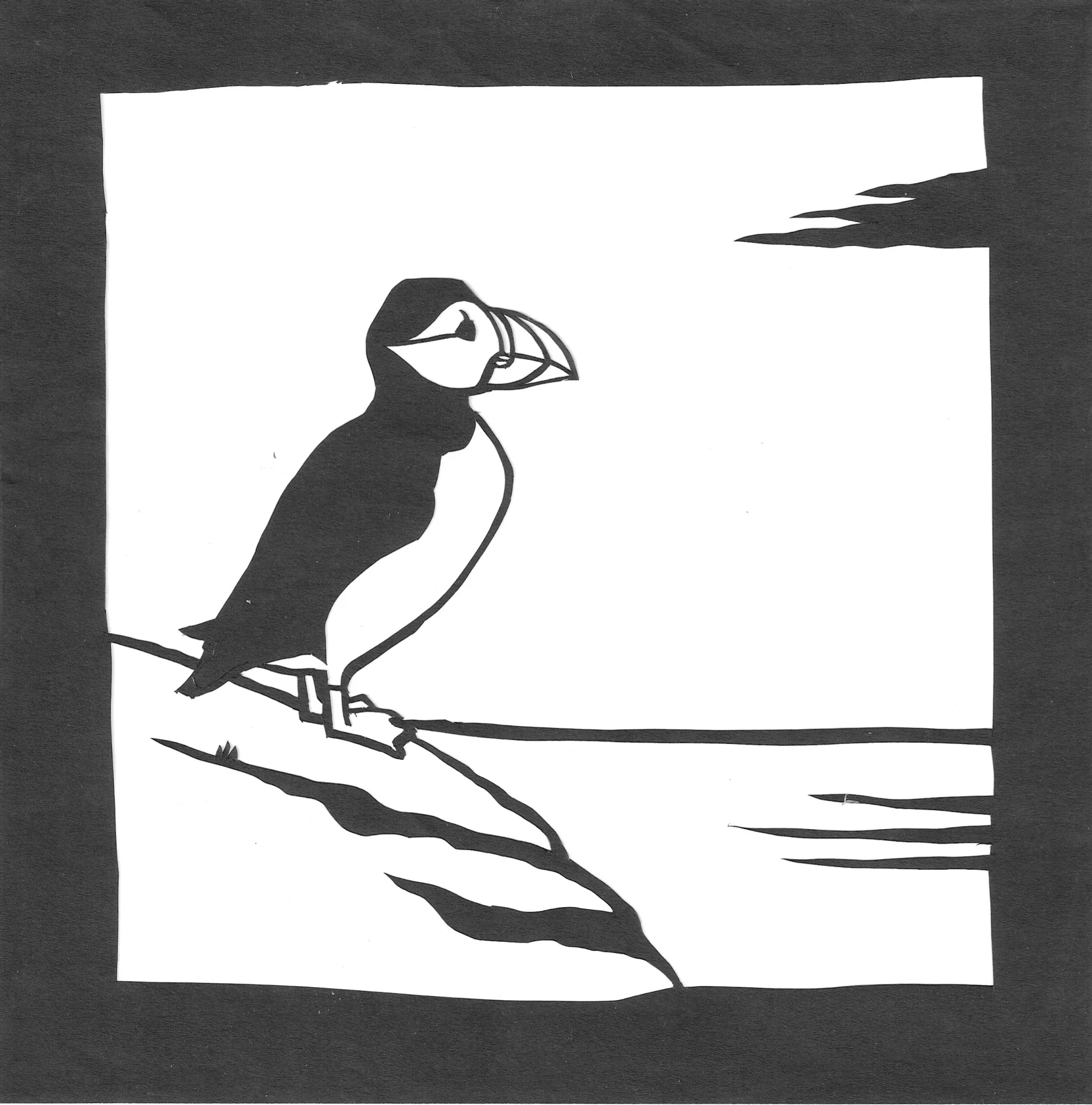 Obligatory Puffin 3.jpeg