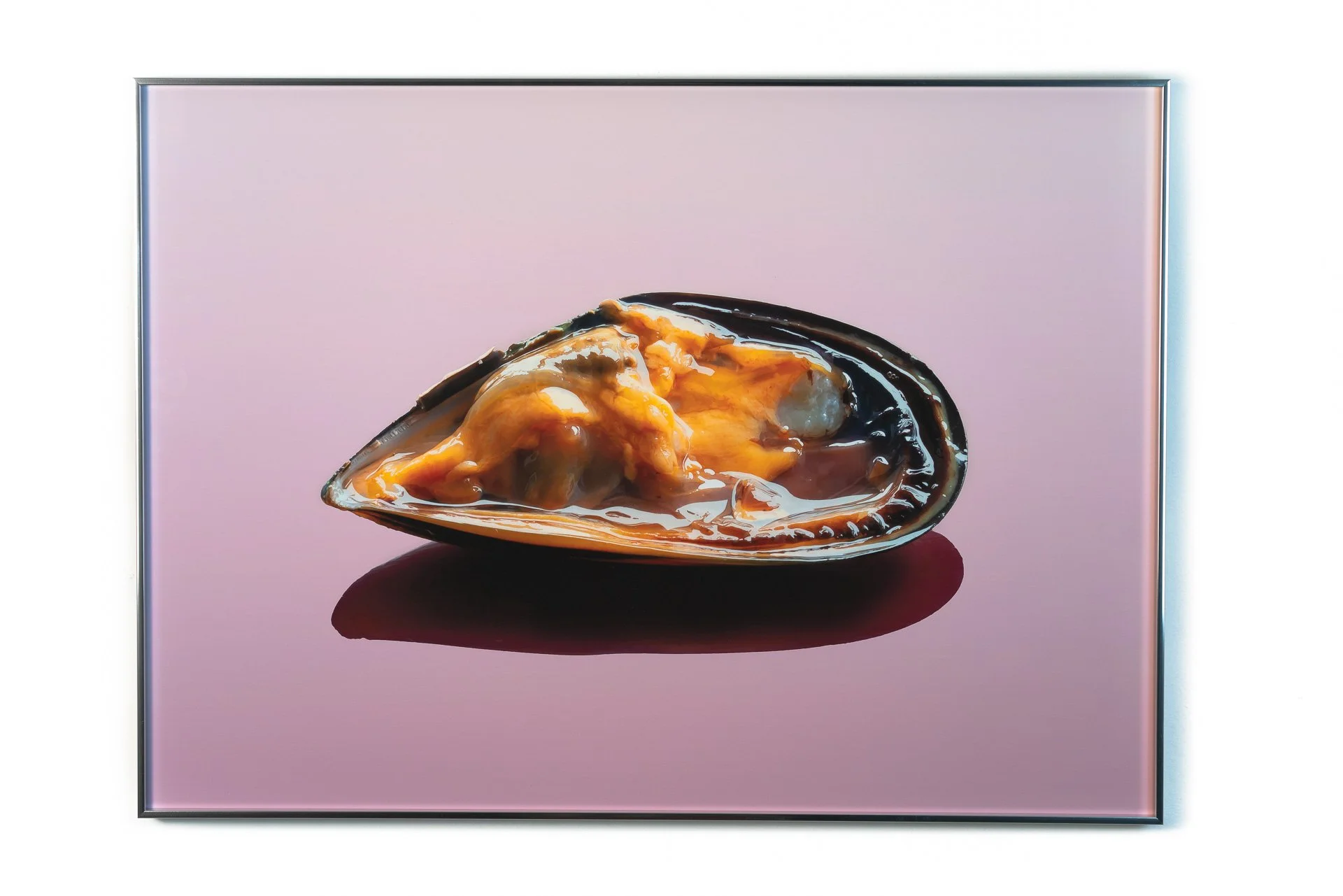   Mussel  (2023) Digital print. Aluminum frame. 50 x 70 cm 