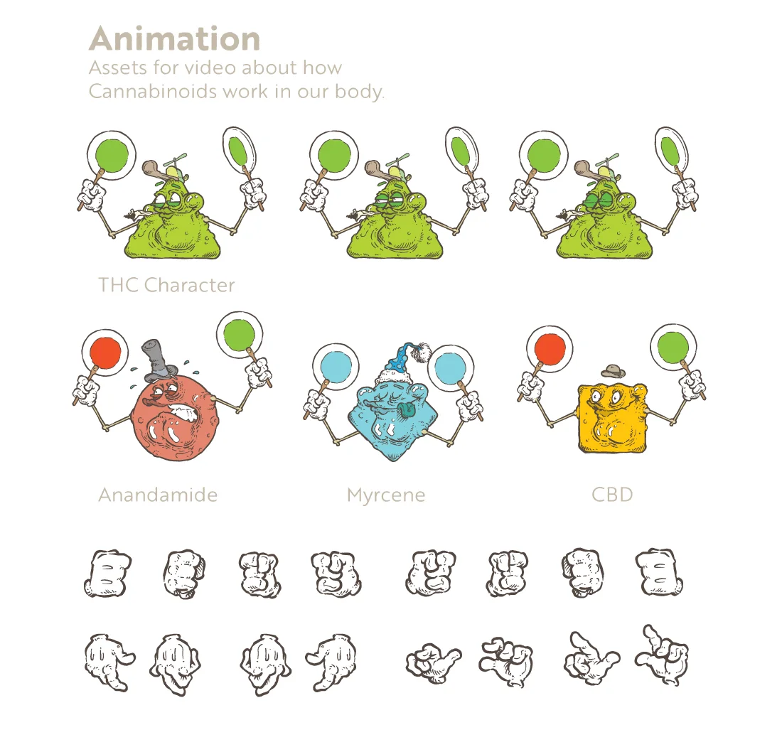animation.jpg