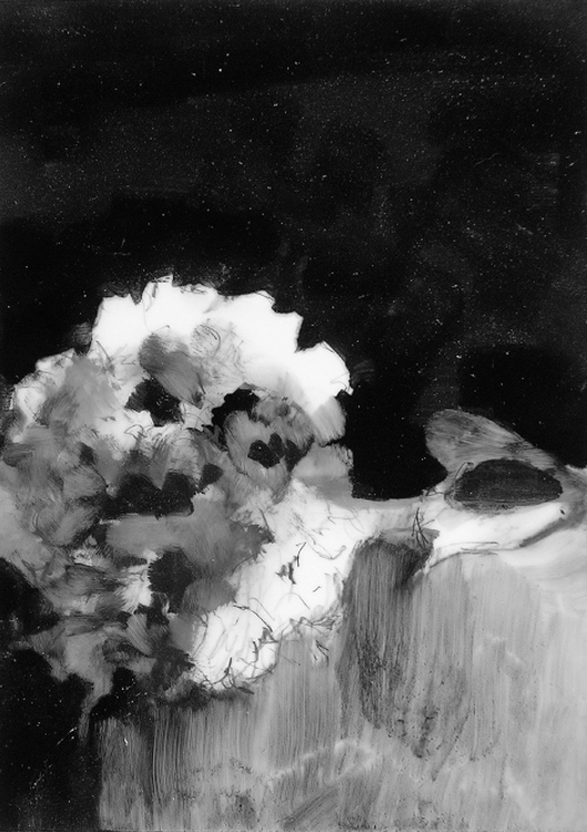 04-Hydrangea1.jpg