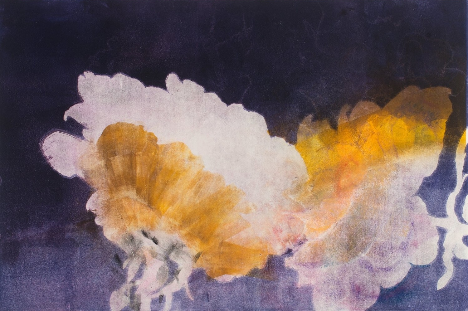 Roses, 2017, monotype, 22" x 30"