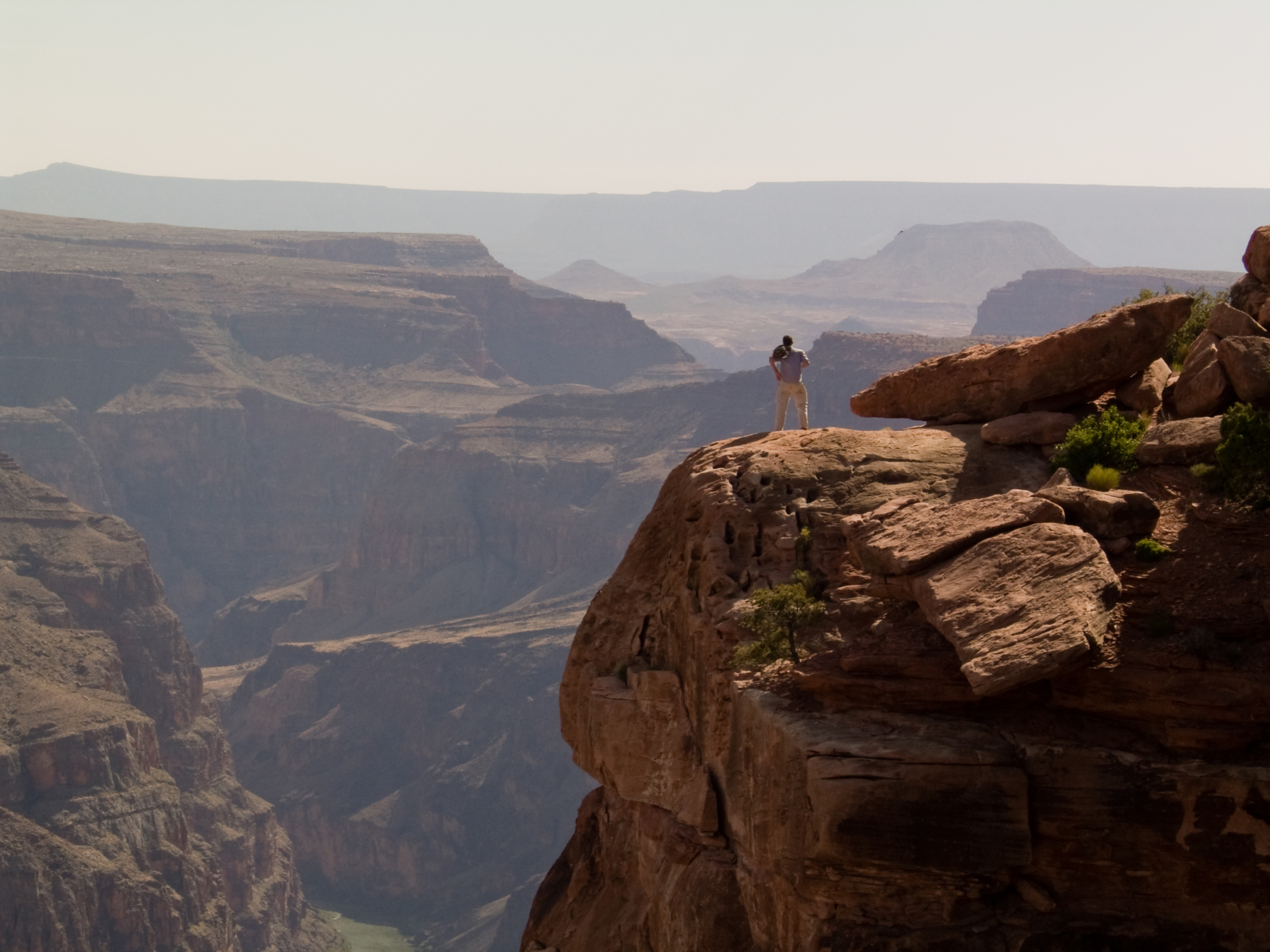 Grand Canyon Project (2010)