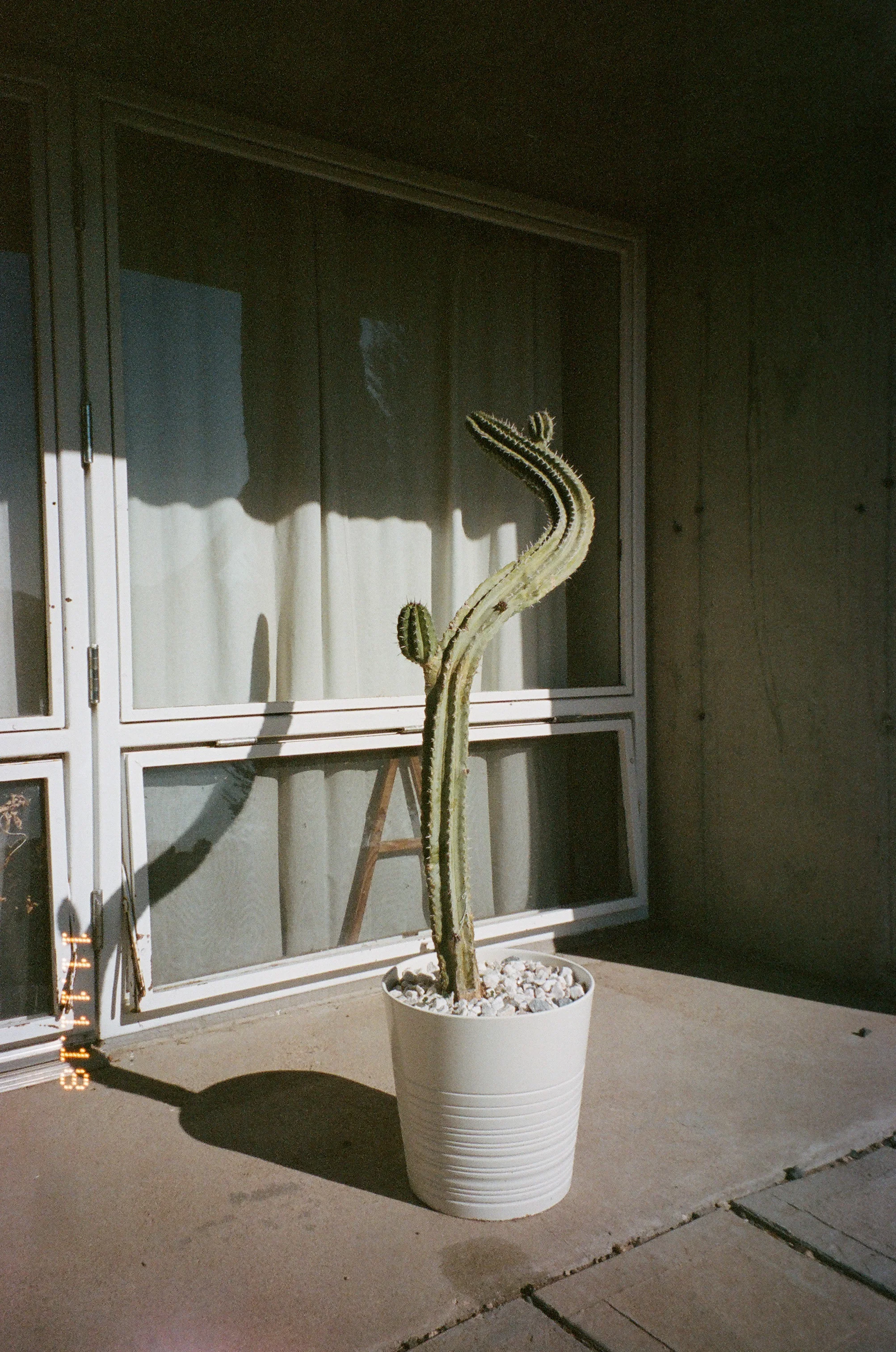 arco_film-5.jpg