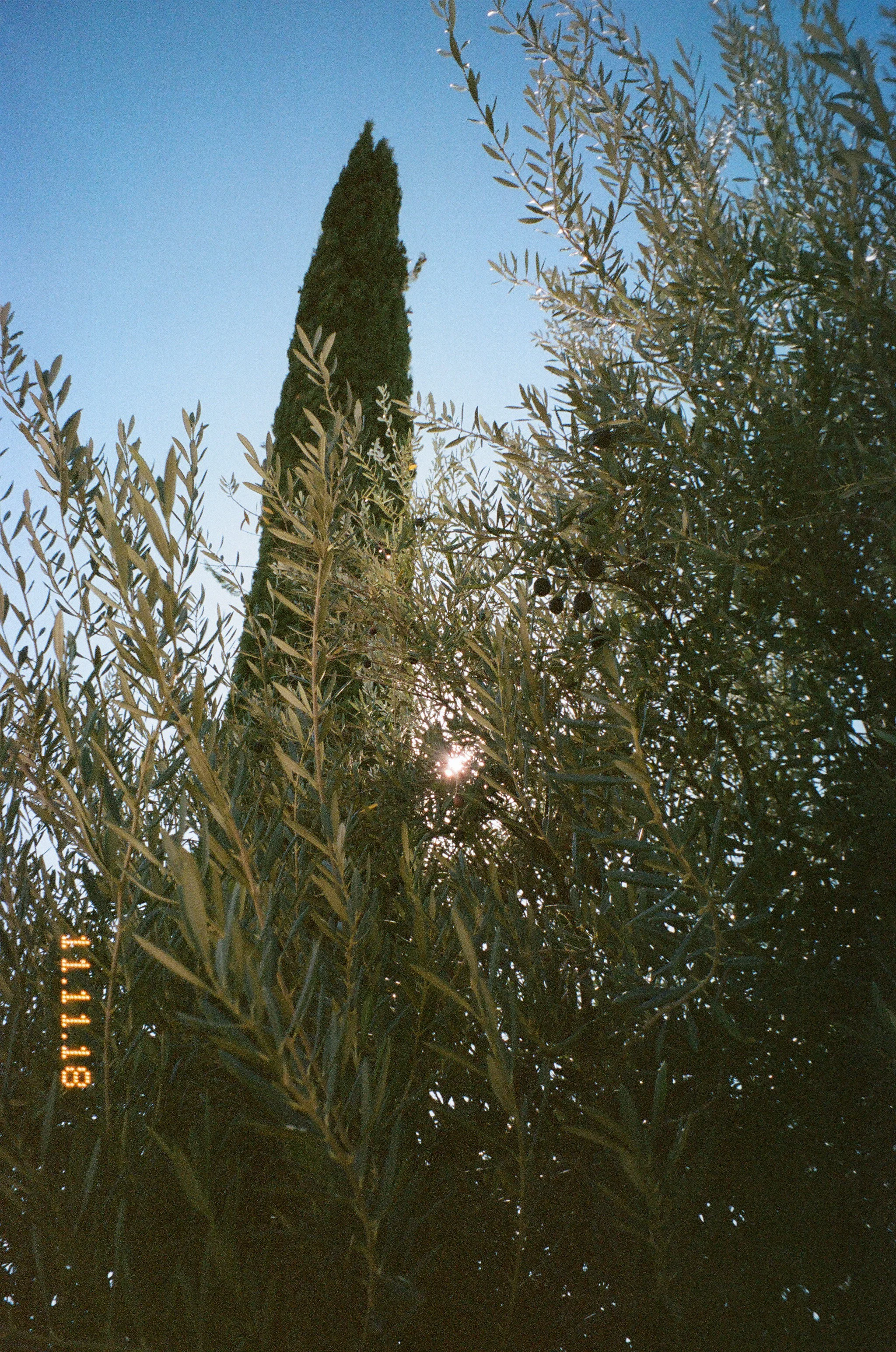 arco_film-8.jpg