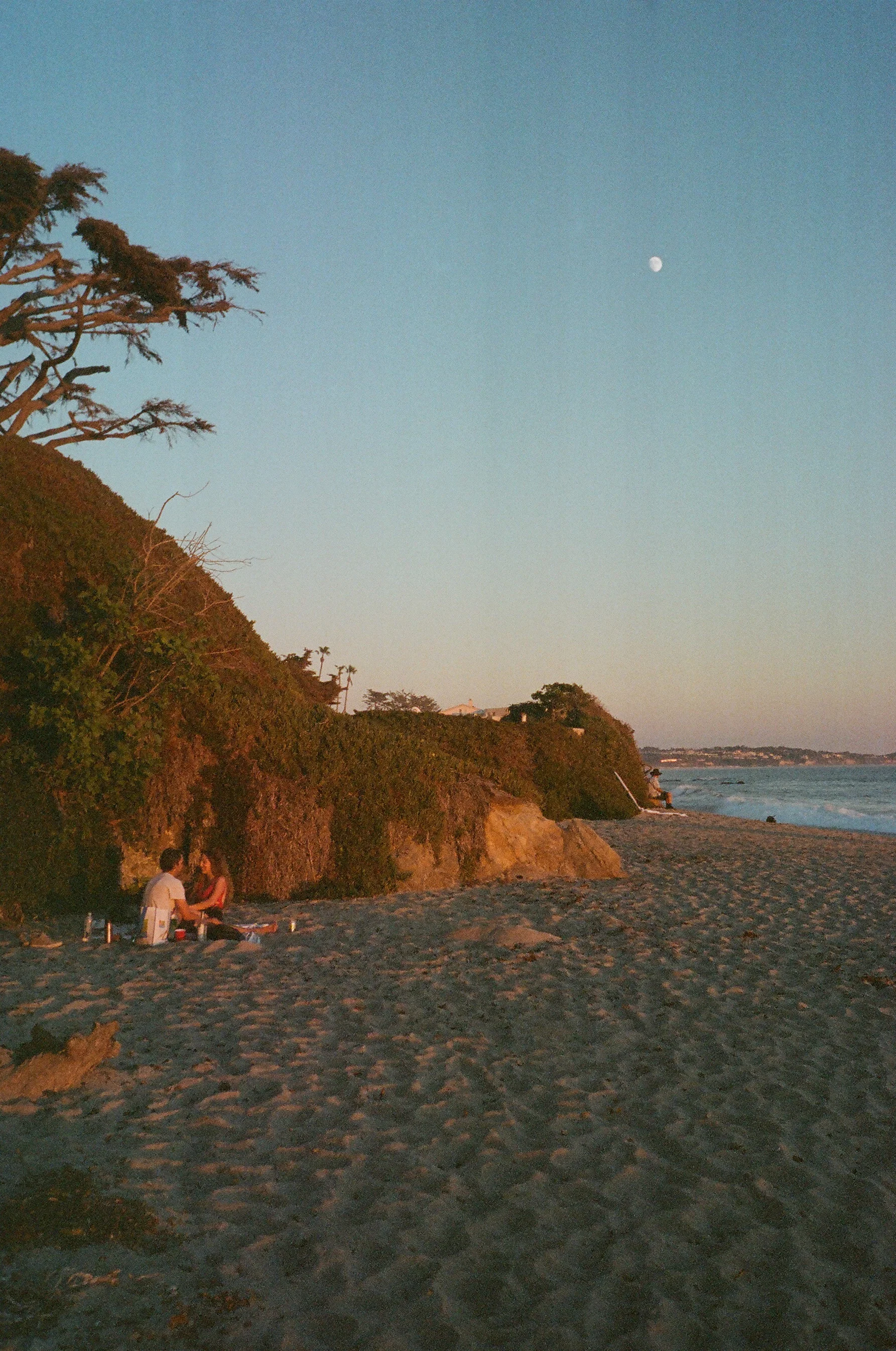 07860026.jpg