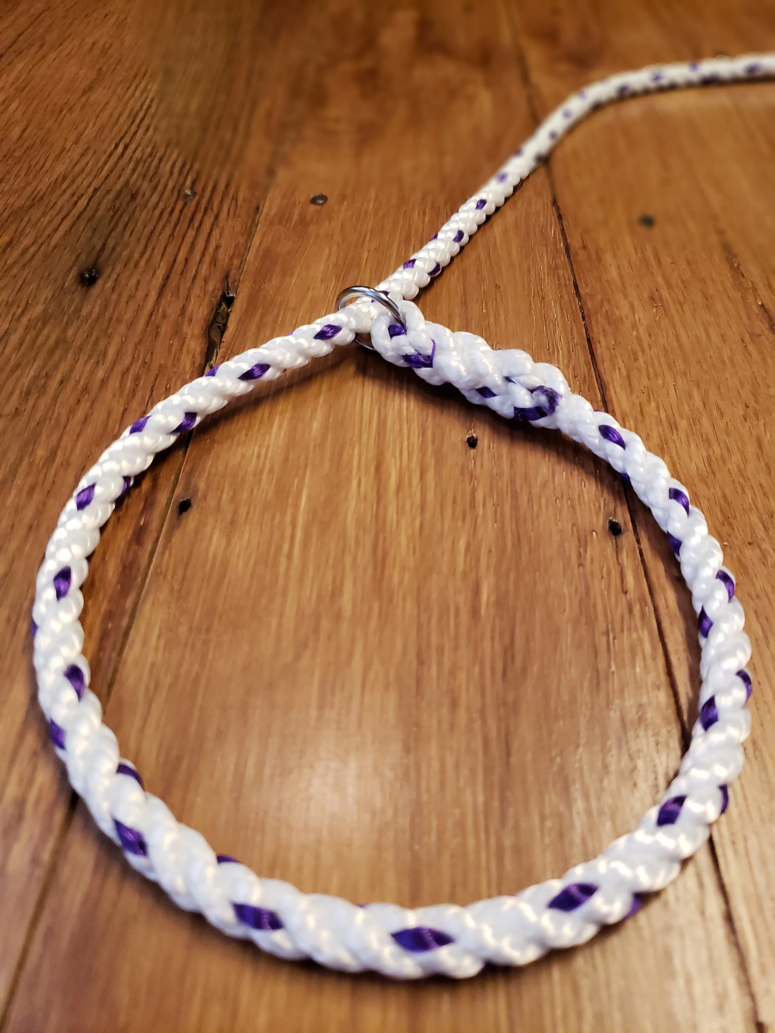 69263292_394030404649474_6845369969295753216_n (1).jpg