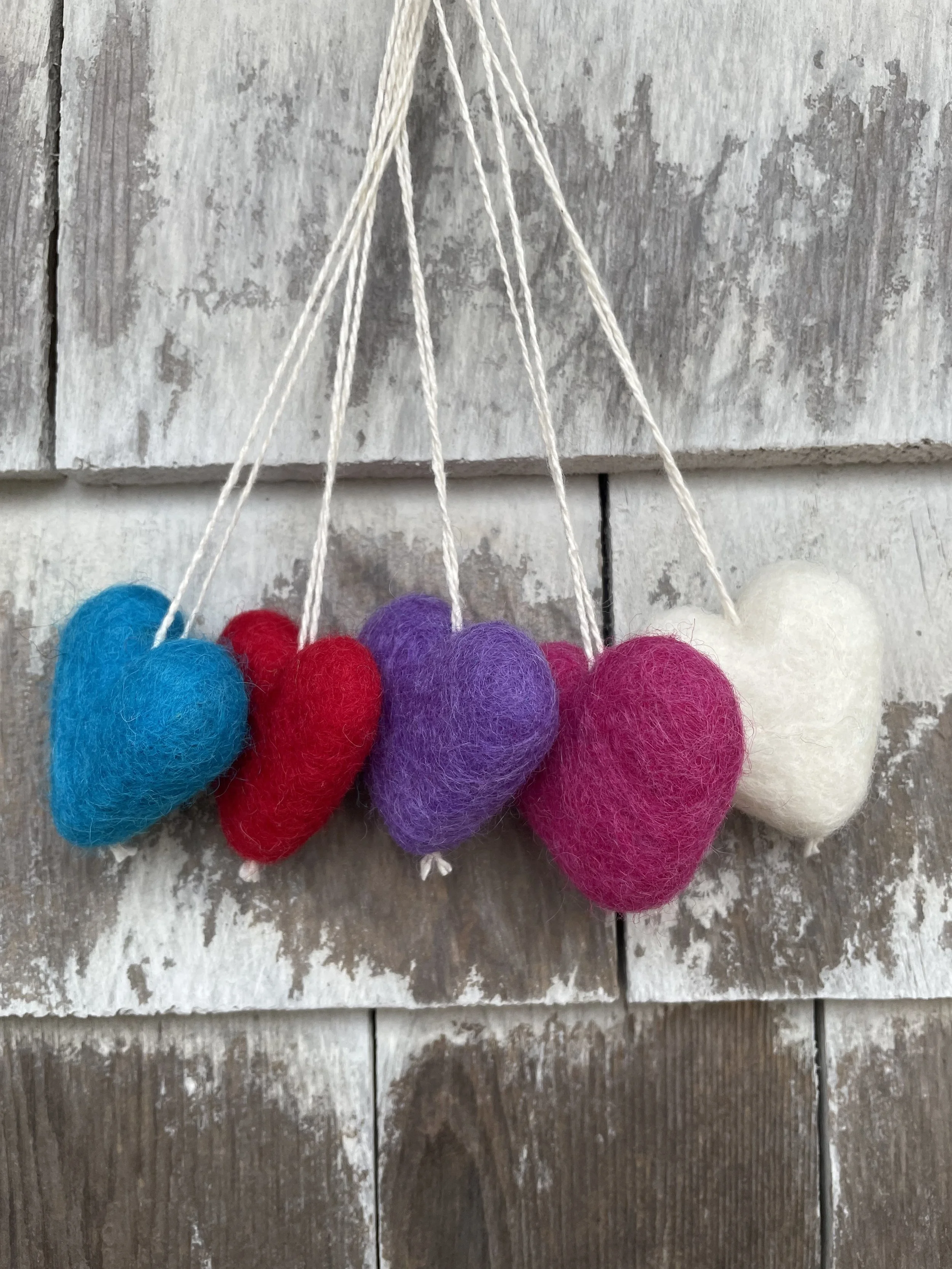 image_67229185 (1).JPG