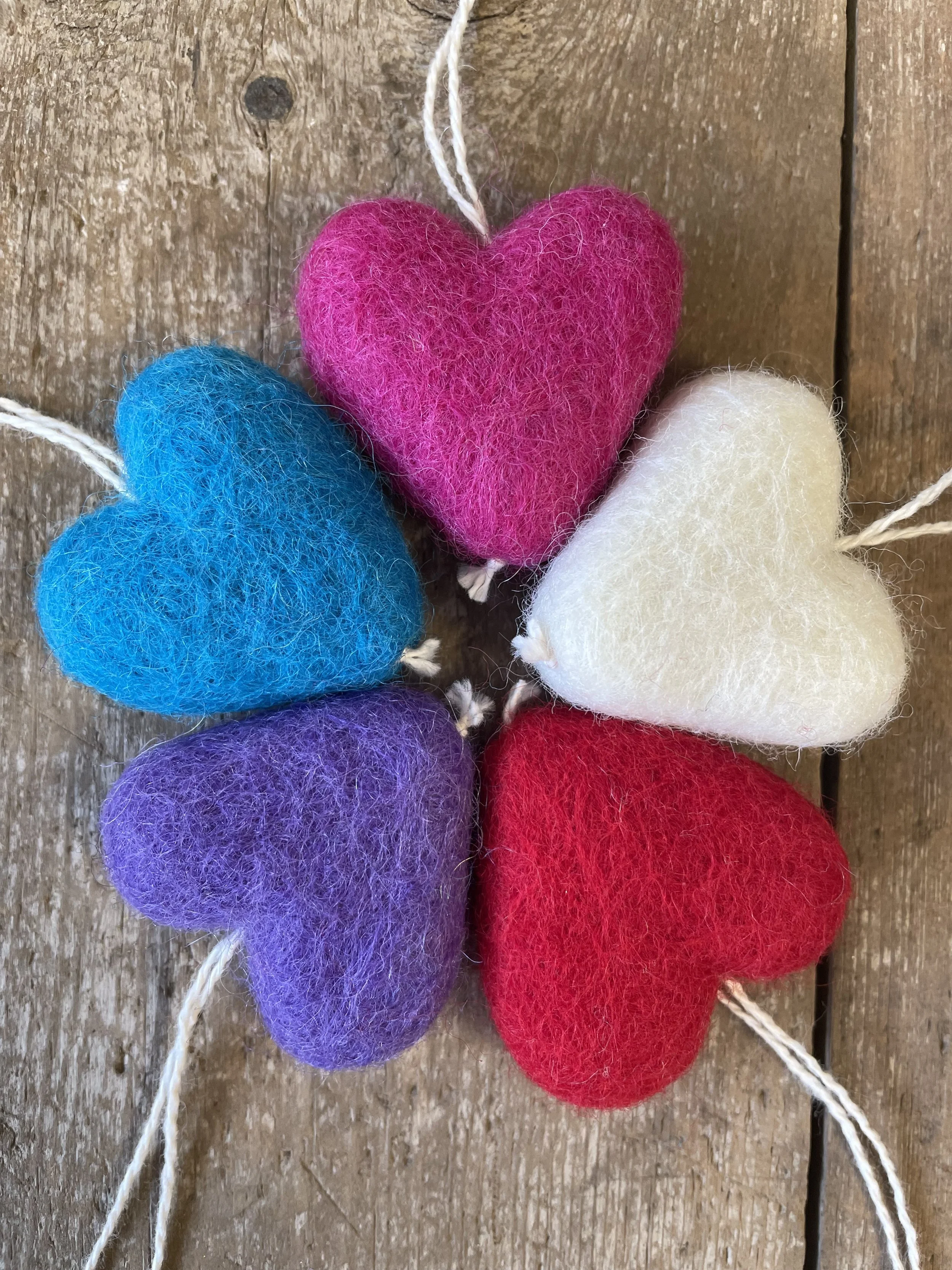 image_67516929 (1).JPG