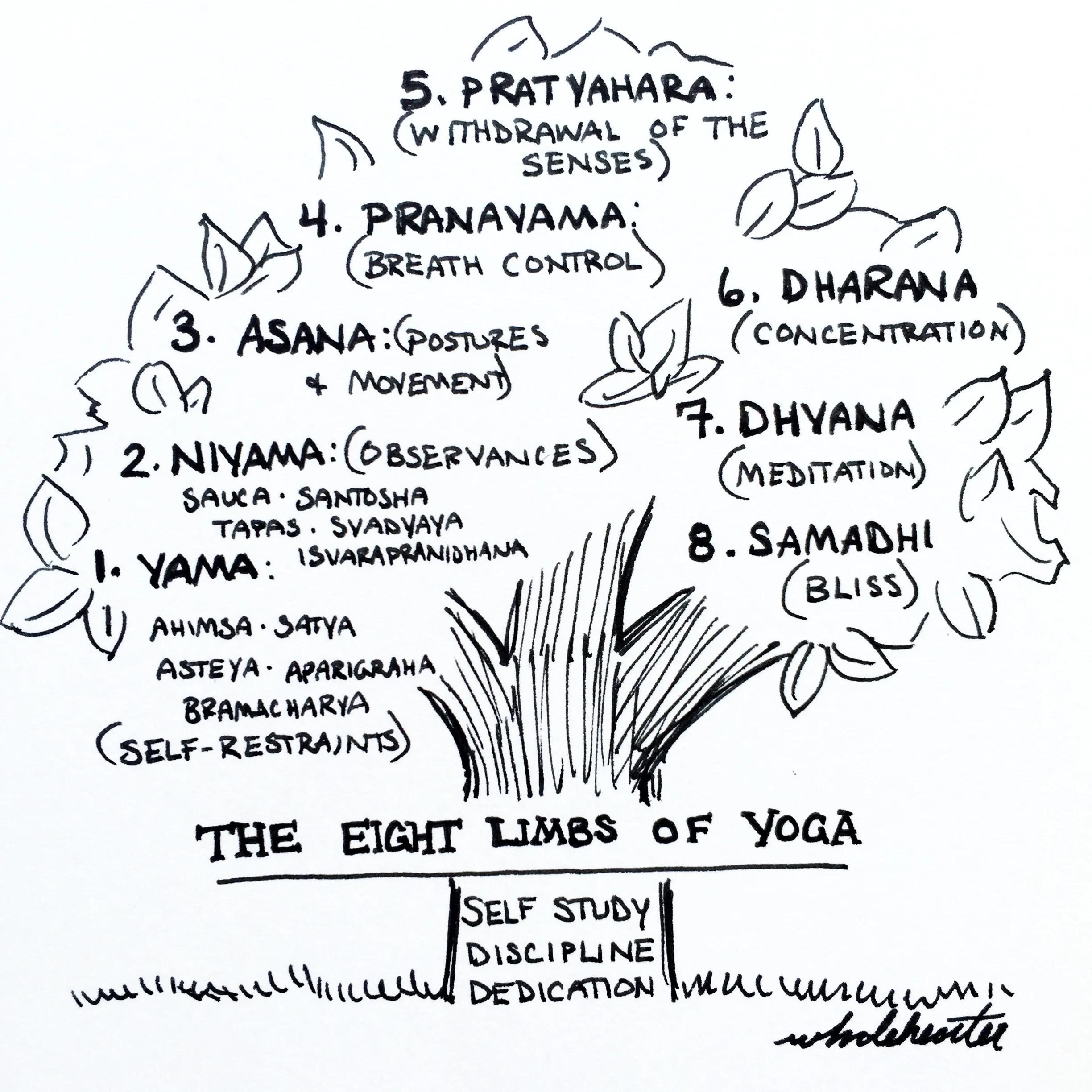 5 Types of Yoga.jpg