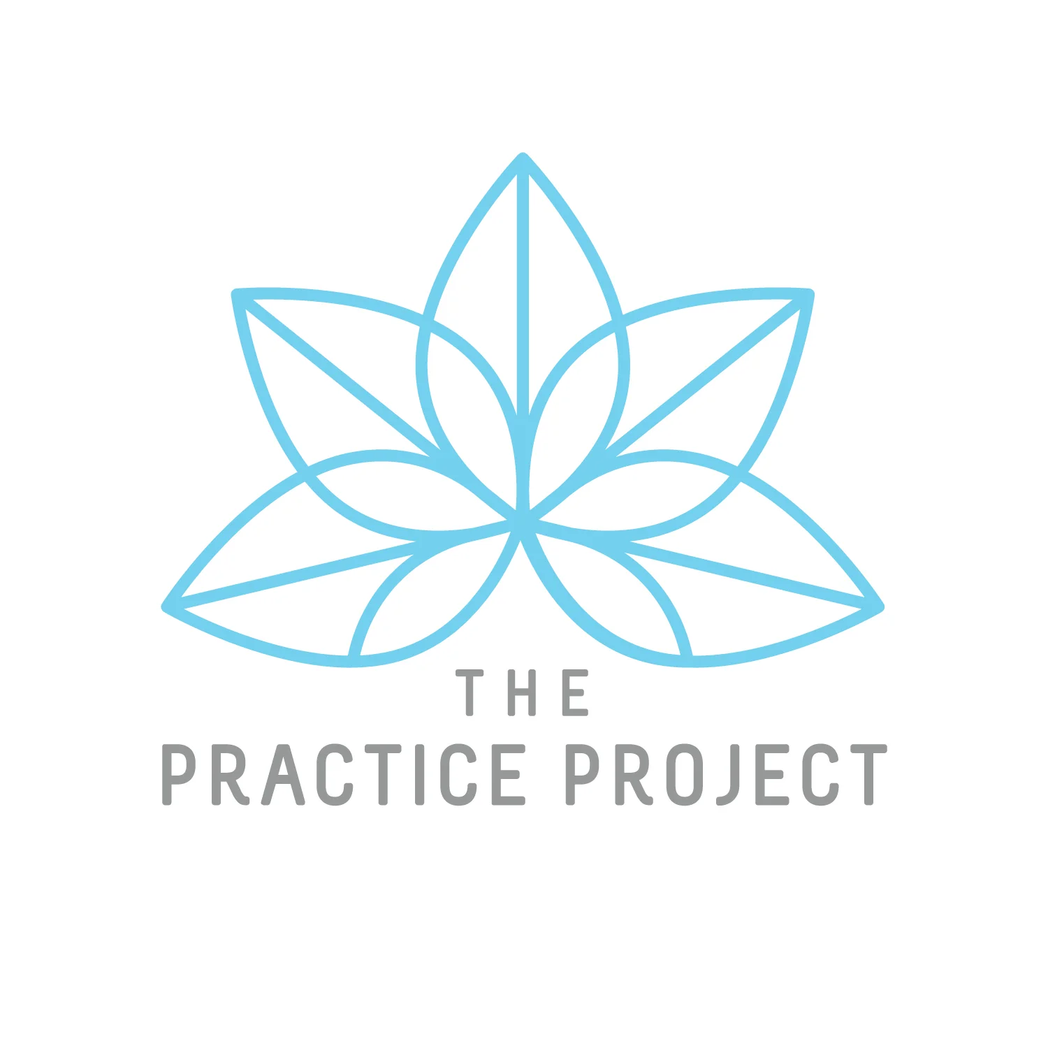 The Practice Project.jpg