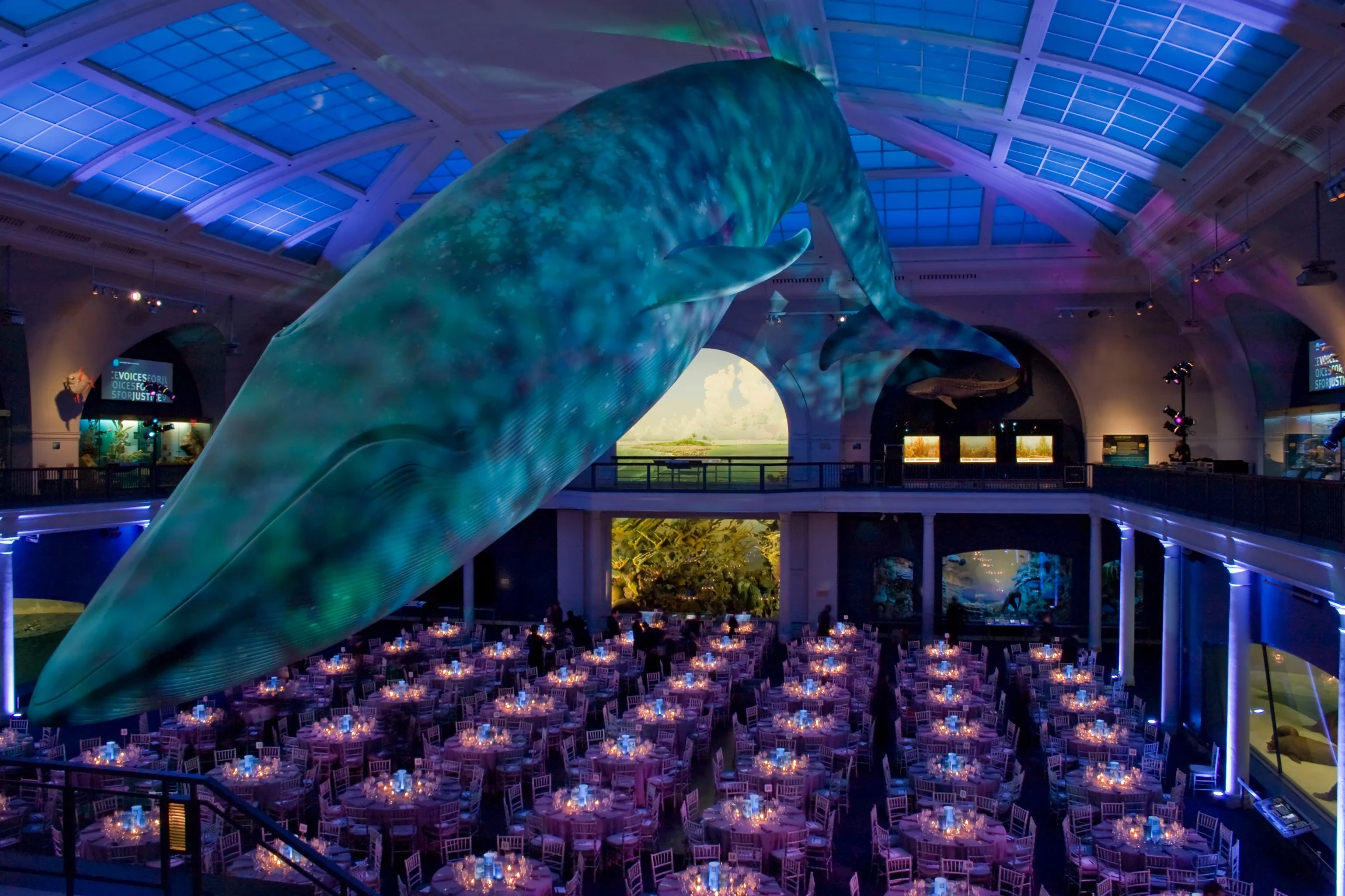 American Museum of Natural History.JPG