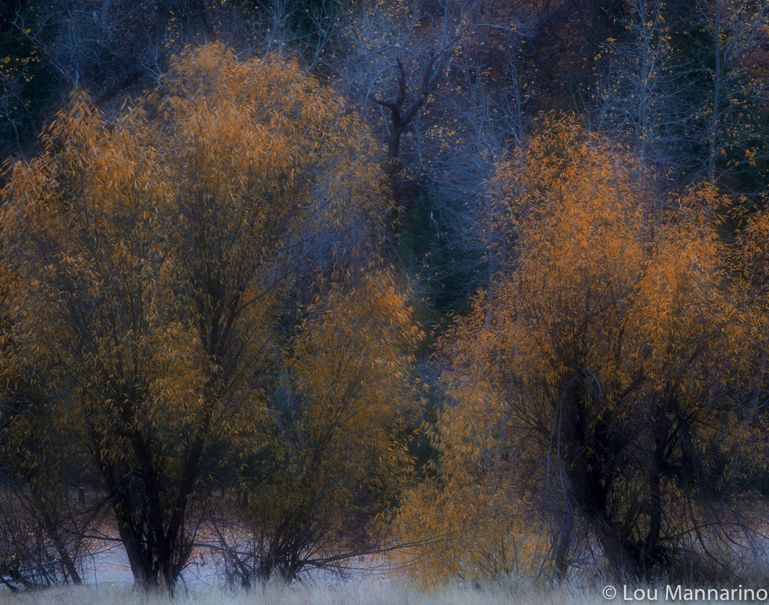 Impressionism and Movement