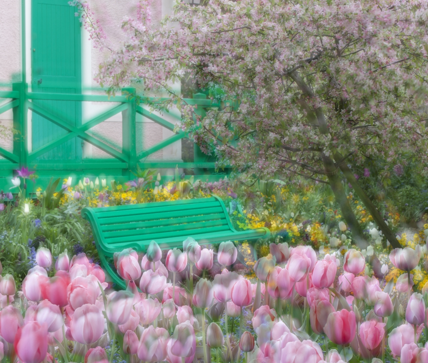 Monet's backyard garden in Giverny, France