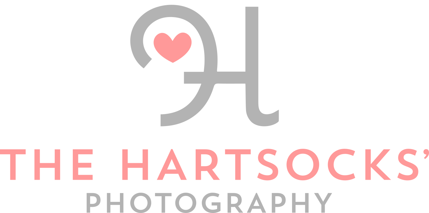 The Hartsocks' Photography