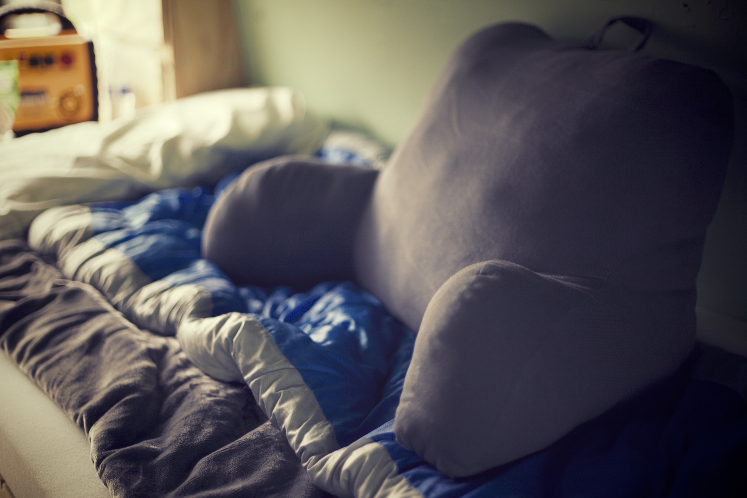Back Pillow.