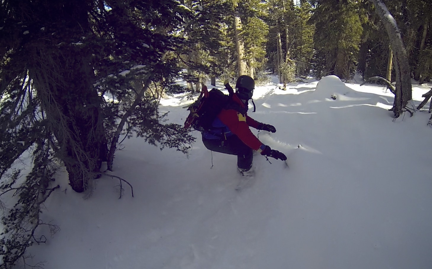 Me cruisin' past Westie just before nailing a tree. Probably my best run. :)