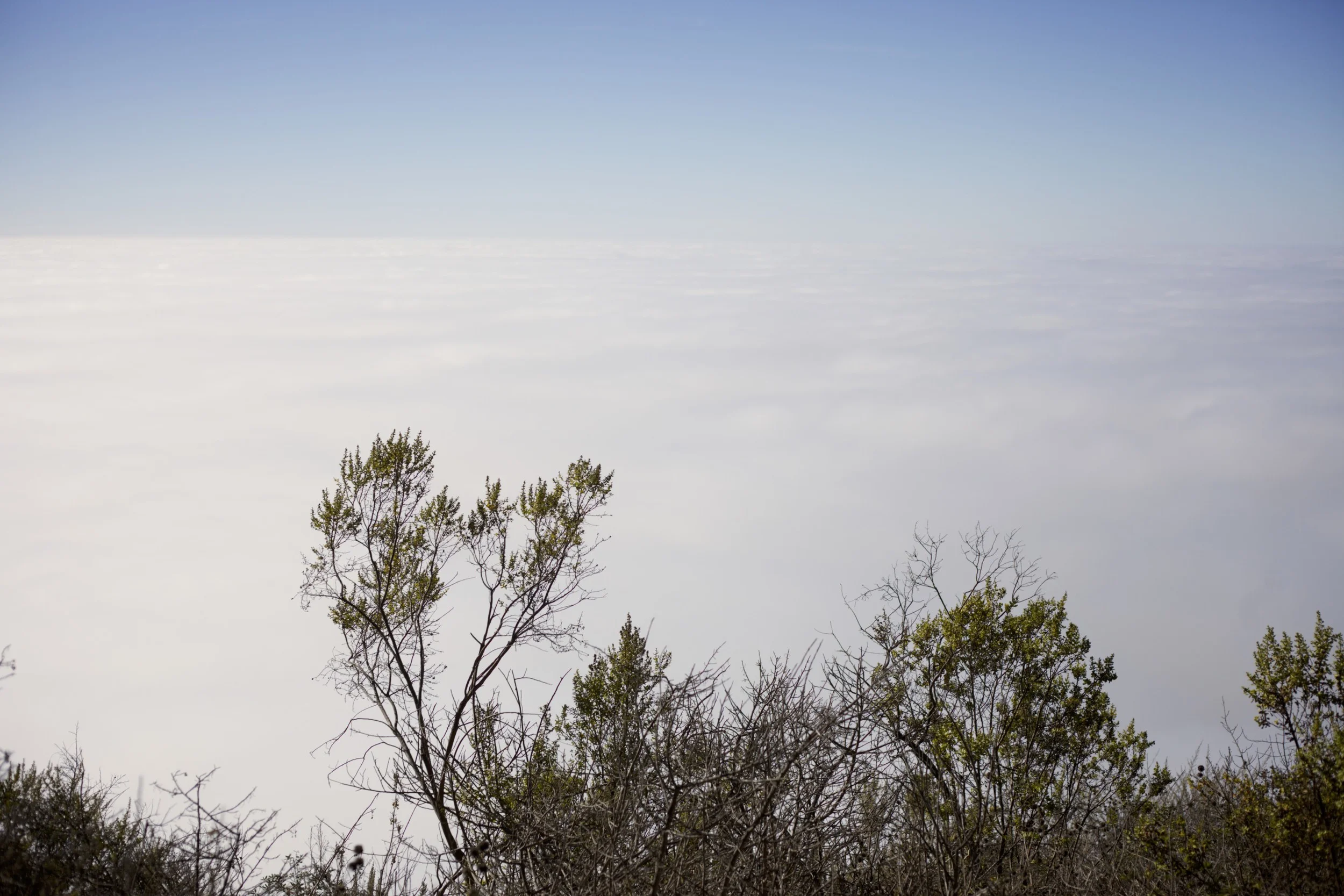 "I think I hiked to high..."