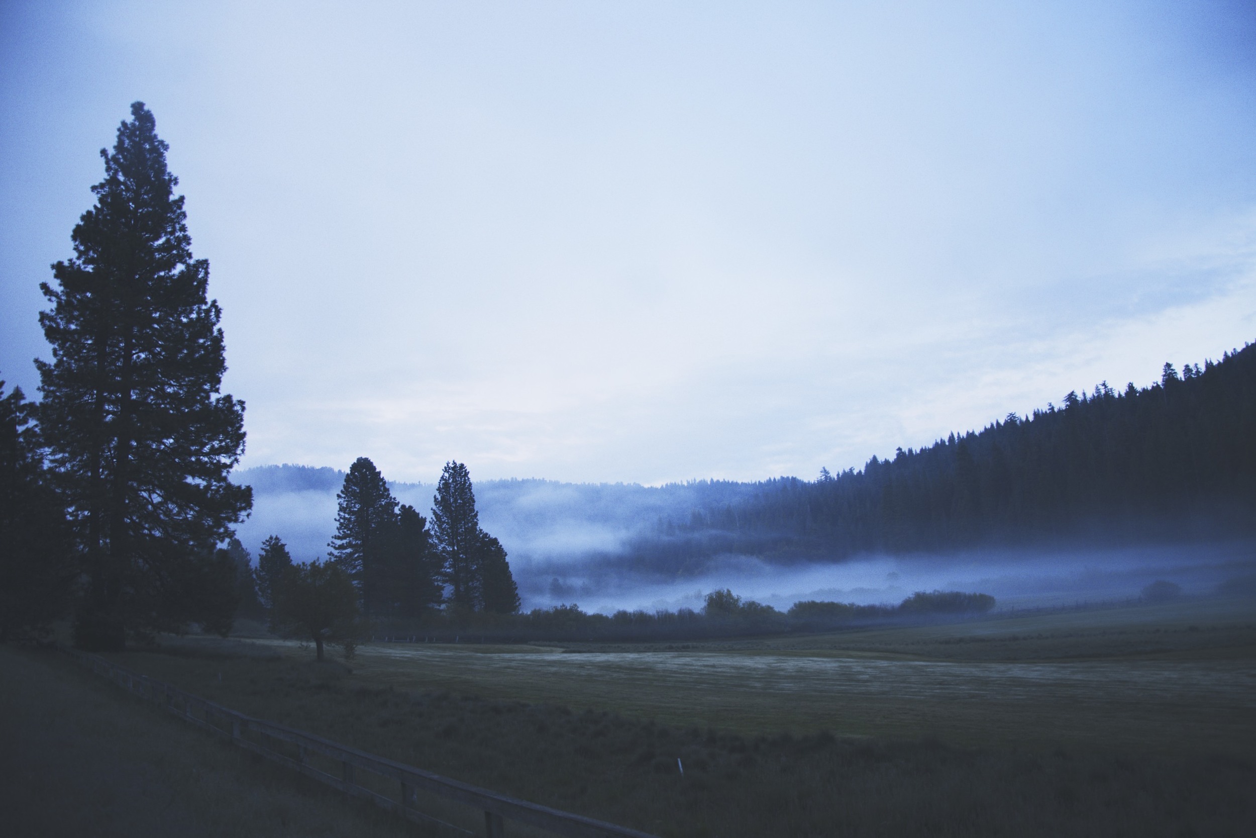 This was just as I pulled into Yosemite at sunrise. 