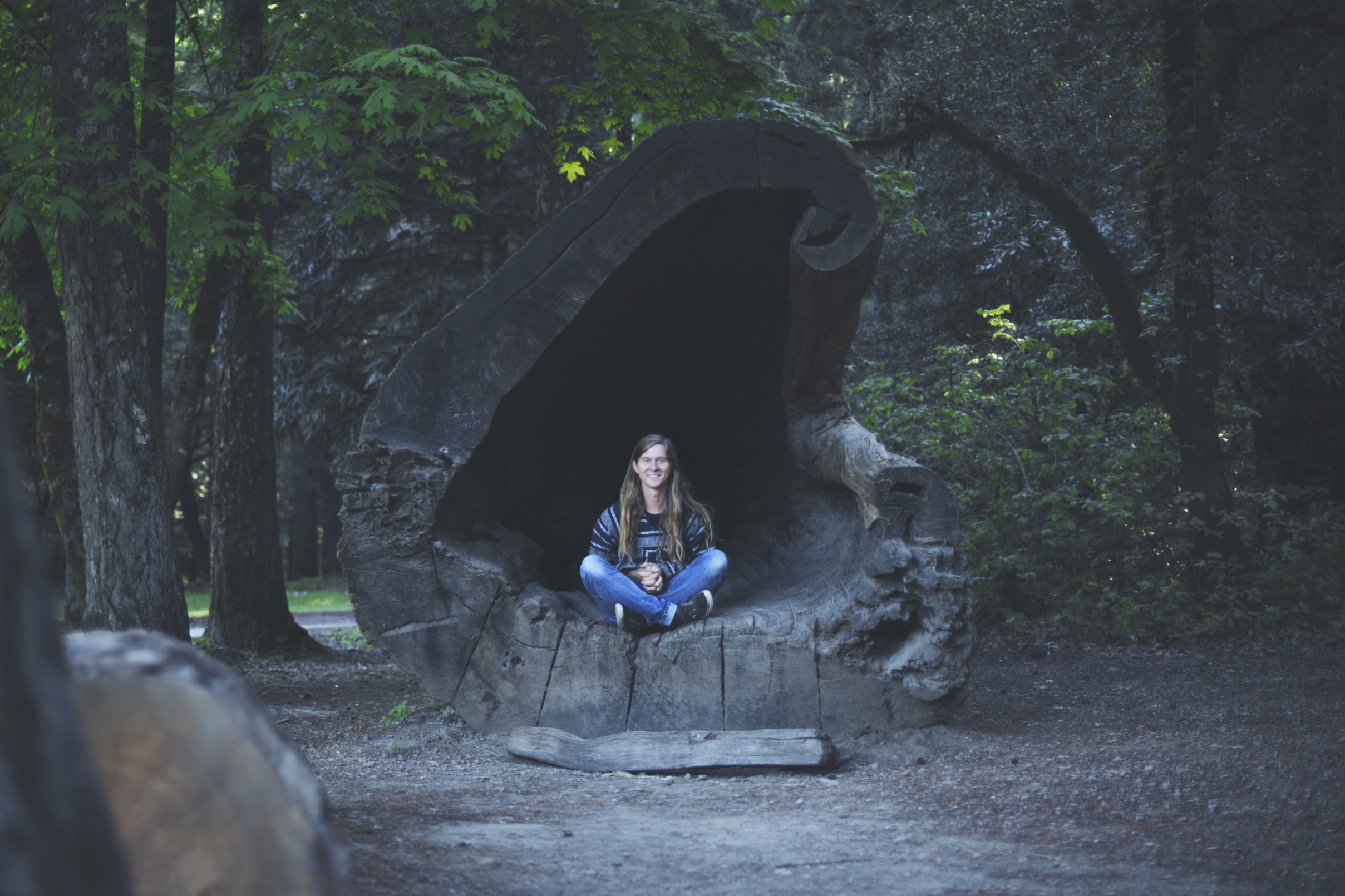 Northern California has some dang big trees. 